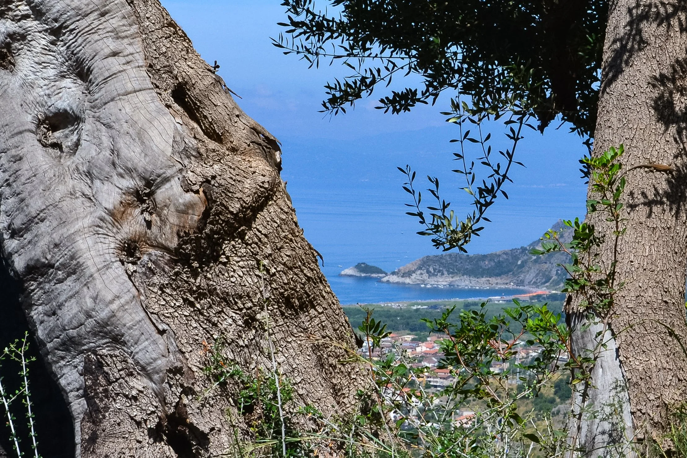 12-08-2013 MAMMA & VALERIO PRAIA RIFUGIO (25).jpg