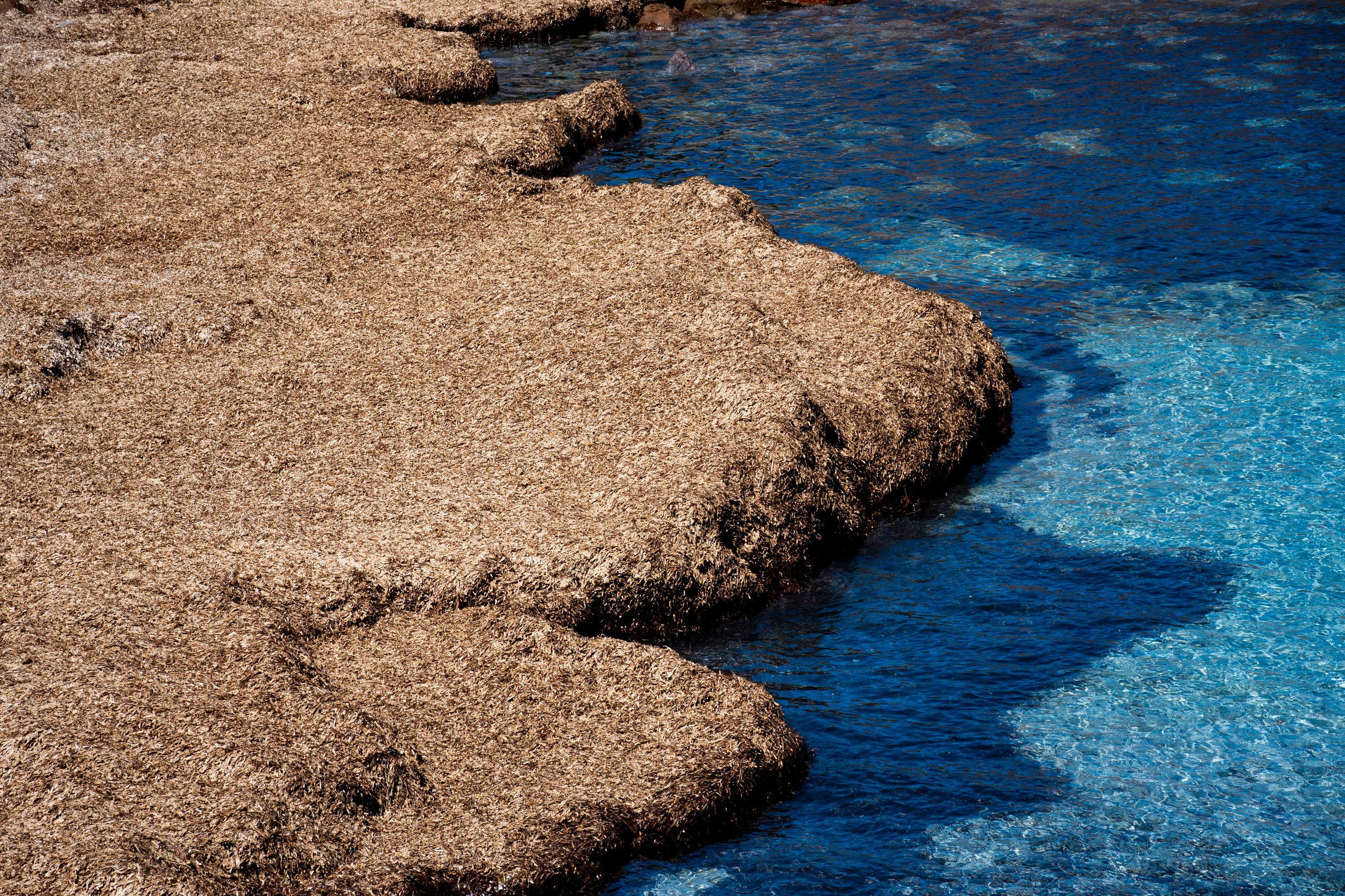 6to10-05-2025 CARLOFORTE ISLAND SARDINIA (197)-2.jpg