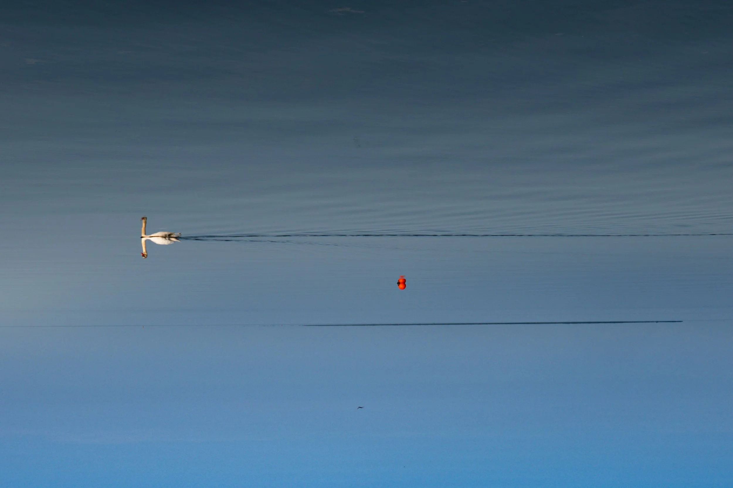 L1000415.jpg
