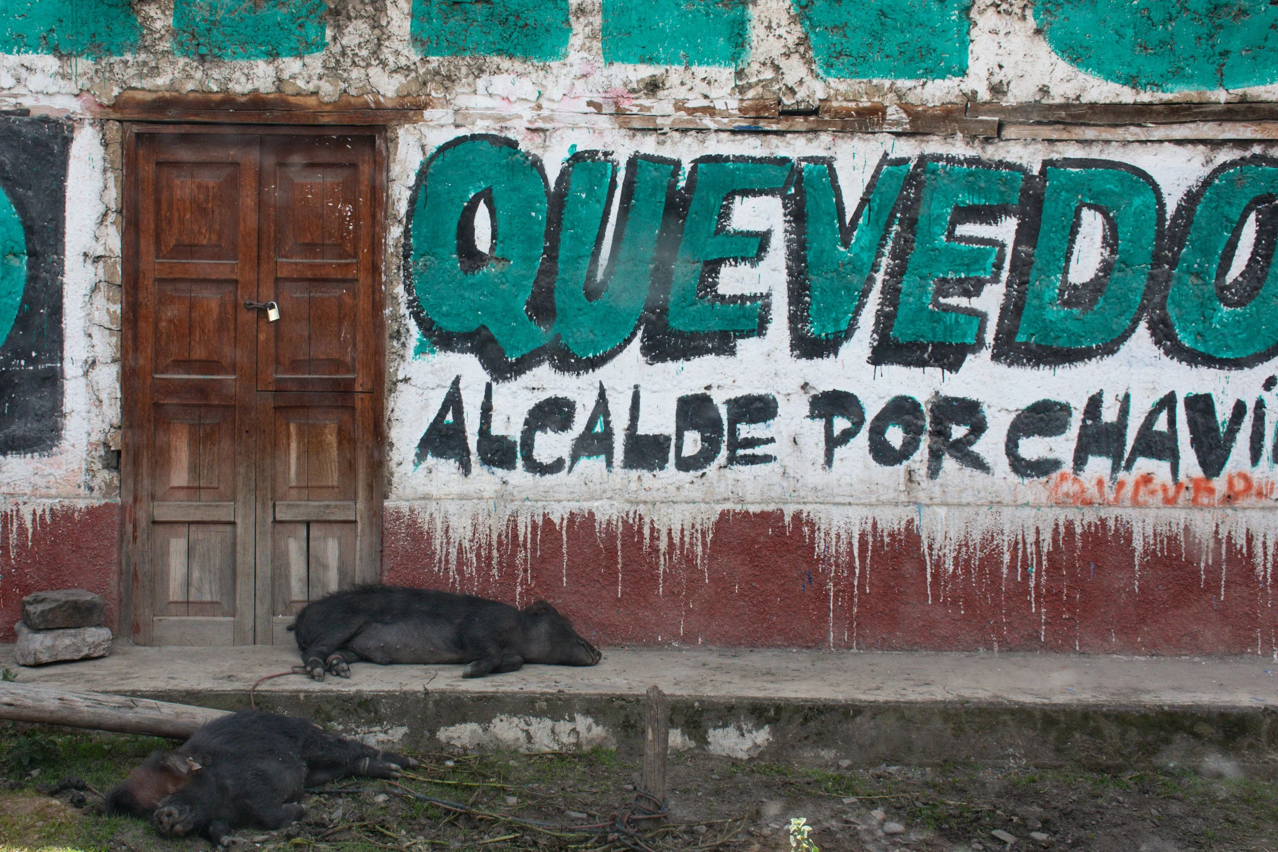DSC_1821.jpg
