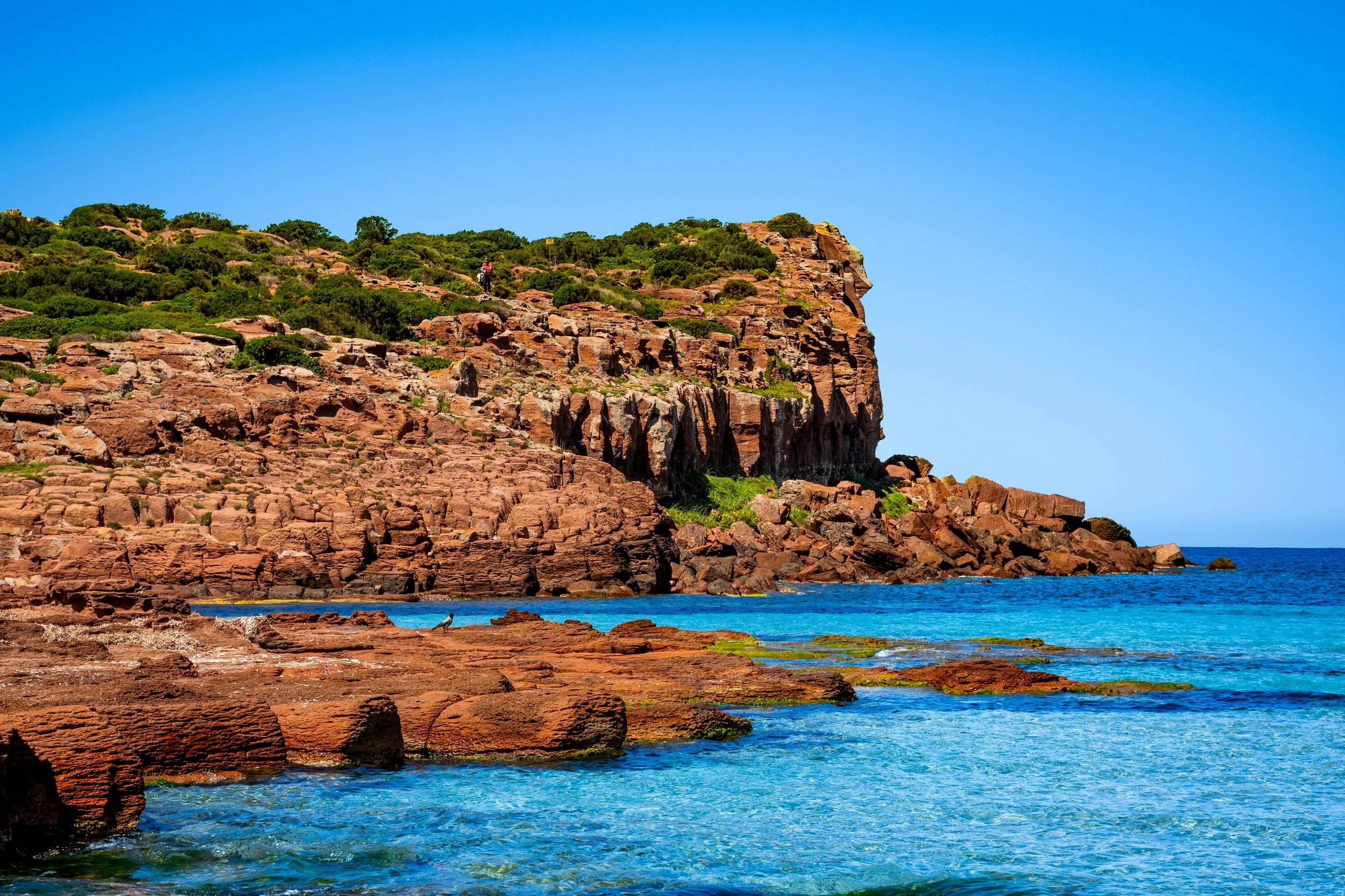 6to10-05-2025 CARLOFORTE ISLAND SARDINIA (188).jpg