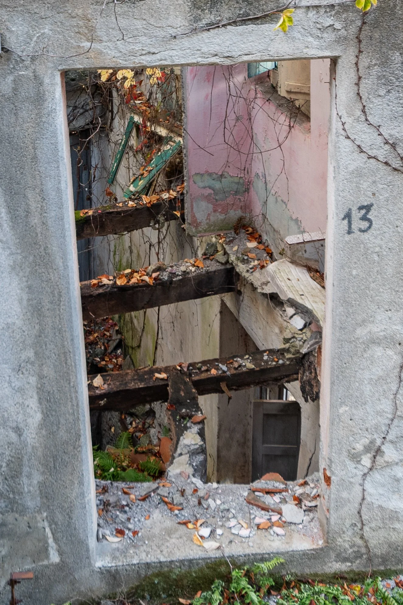 DSC_5306.jpg