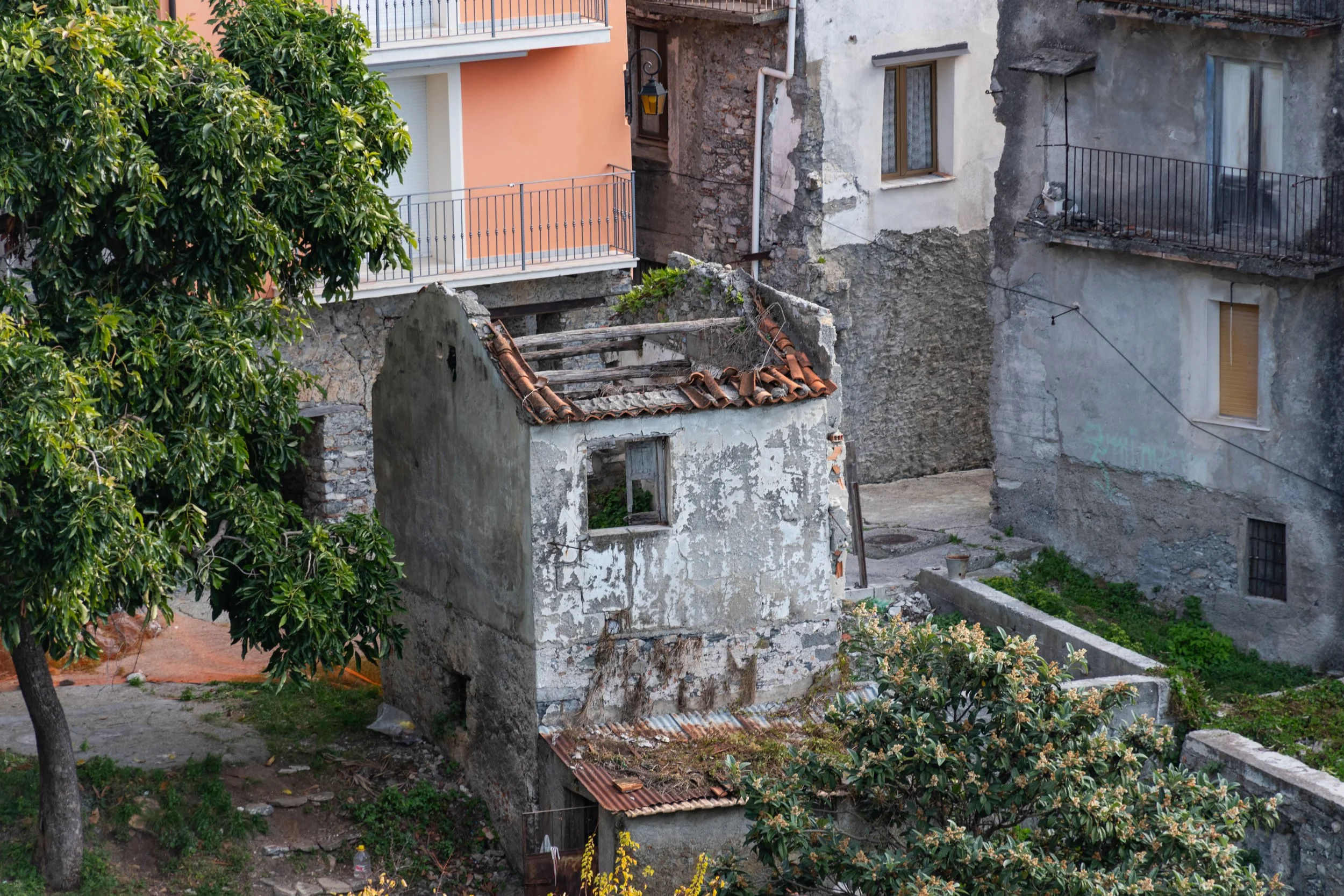 DSC_5106.jpg