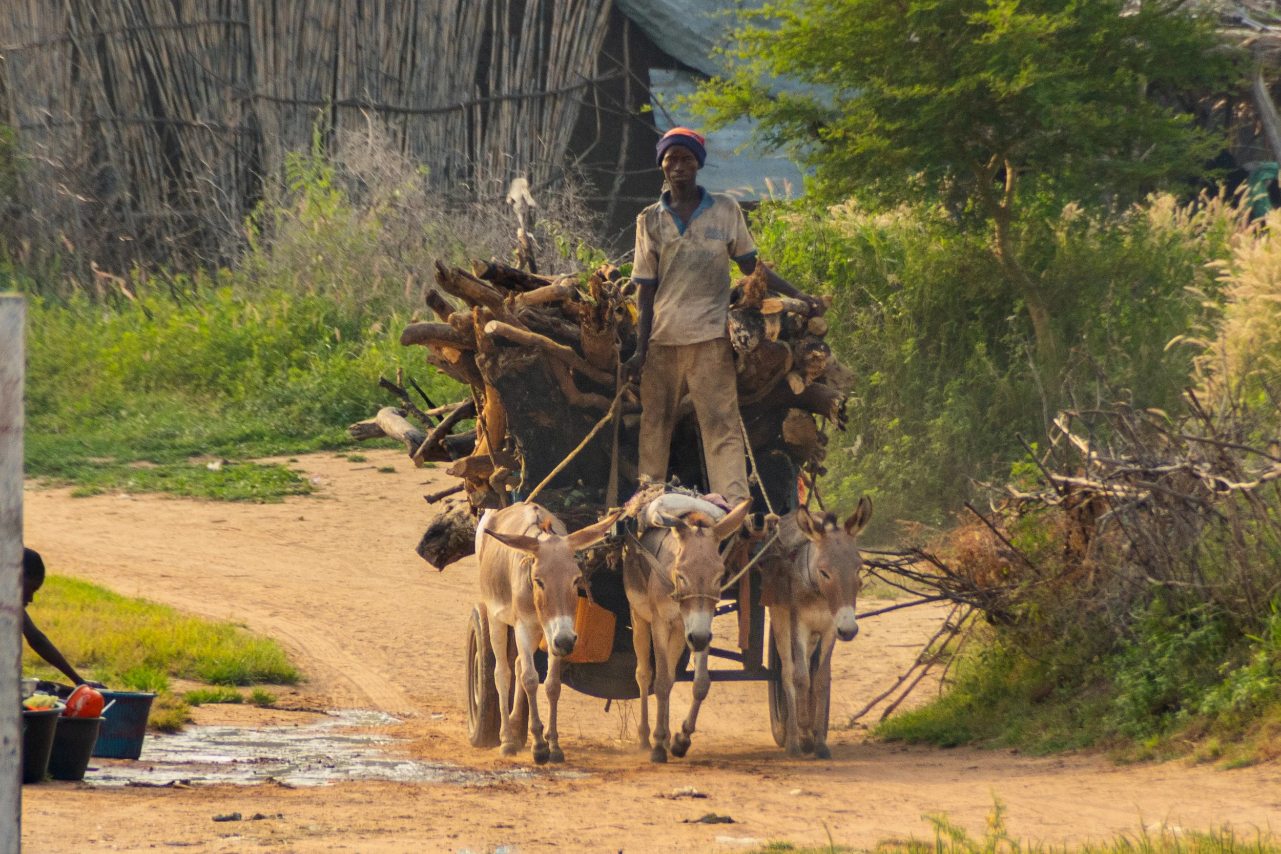 14-10-2021 VILLAGGIO BANZANA' TRASMISSION RRK (208).jpg