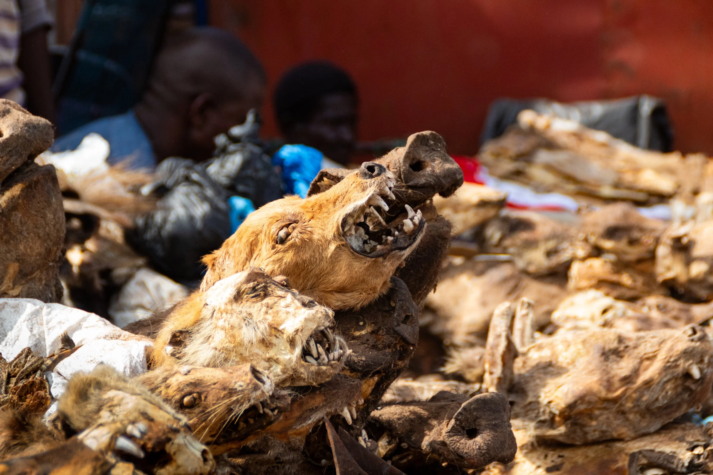 05-10-2021 STREET & GRAND MARCHE' BAMAKO (115).jpg
