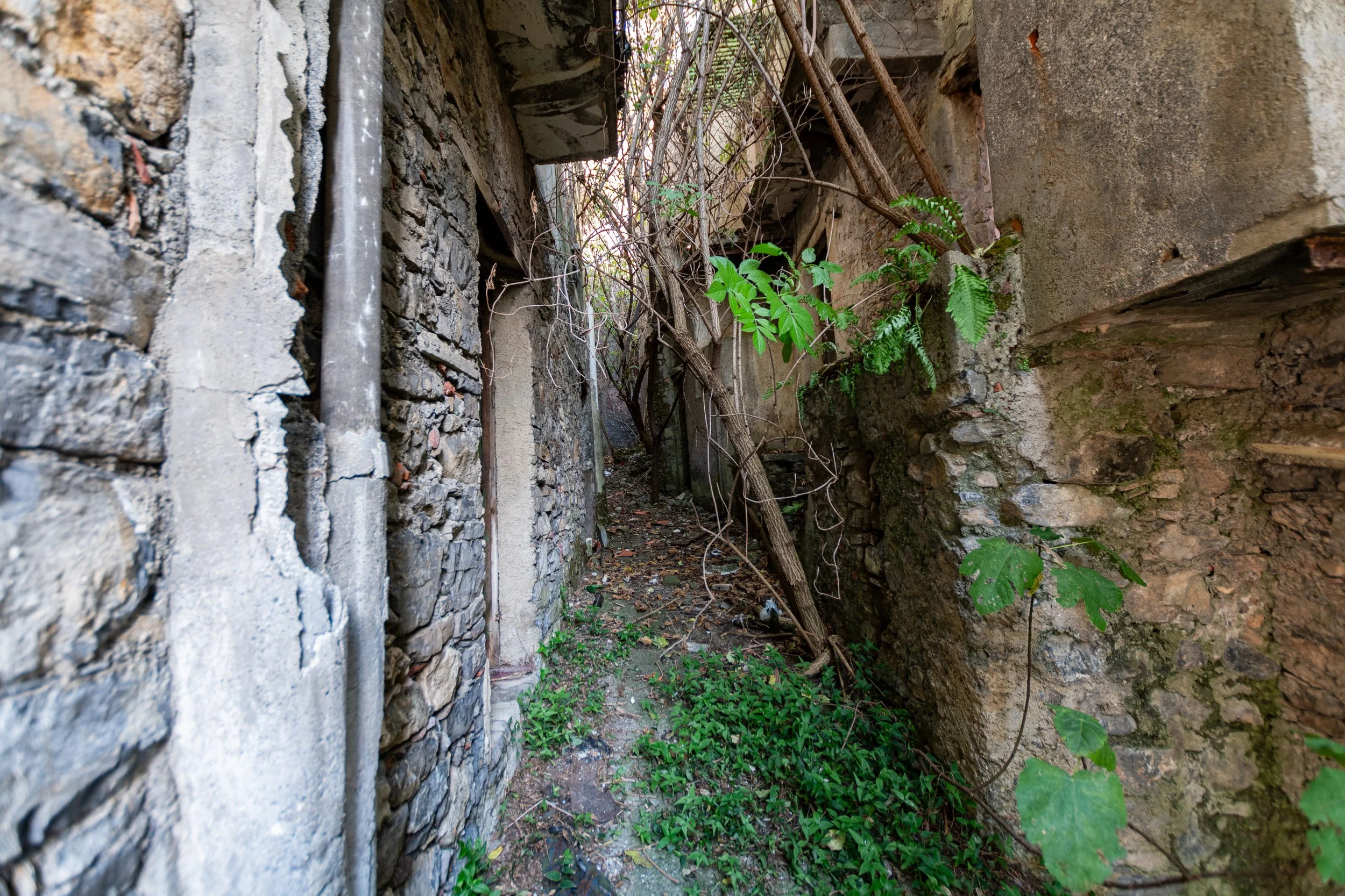 DSC_5283.jpg