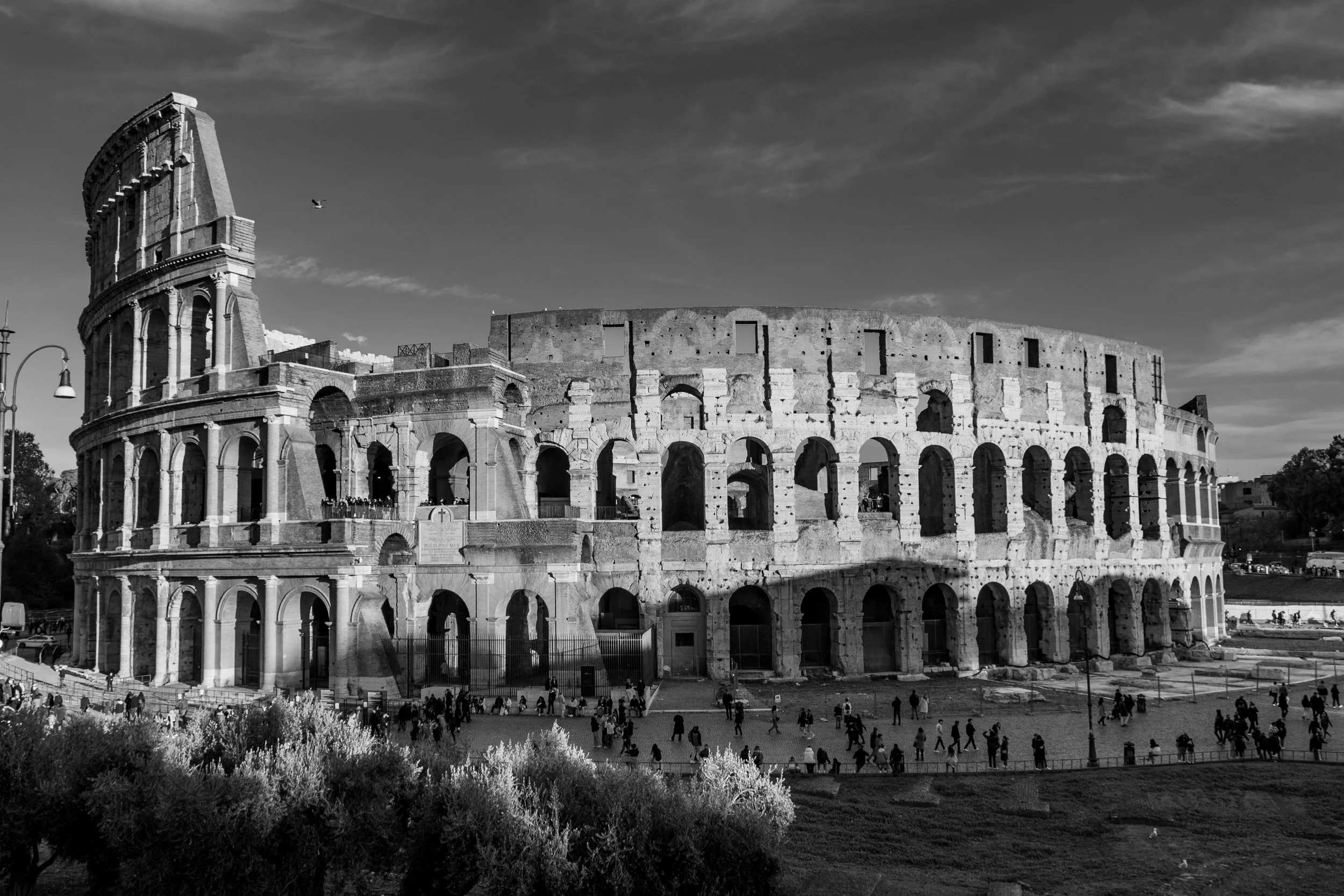 DSC_5433.jpg