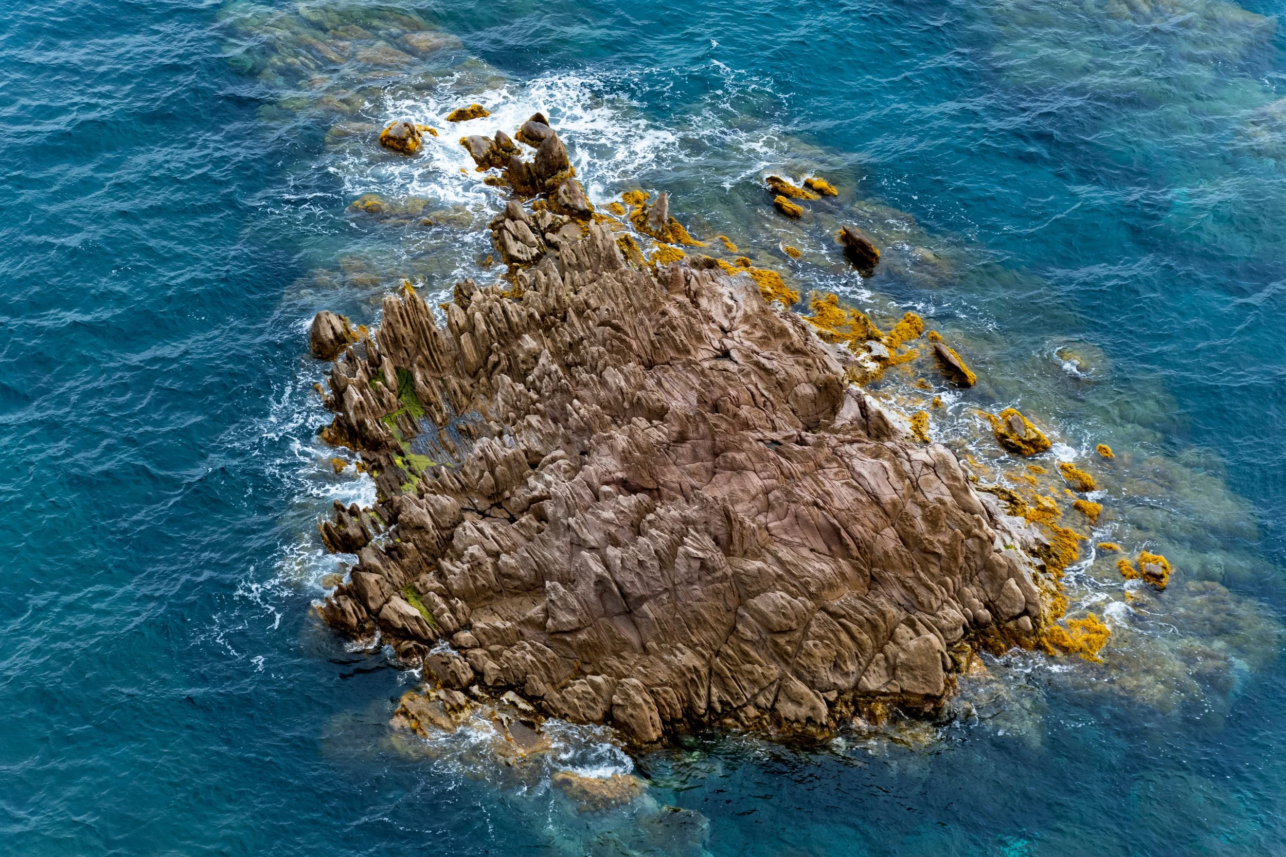 6to10-05-2025 CARLOFORTE ISLAND SARDINIA (487).jpg