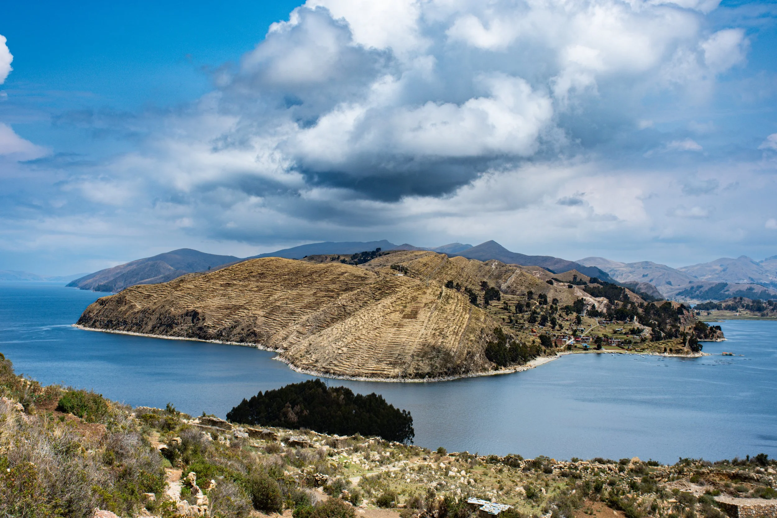 DSC_1664.jpg