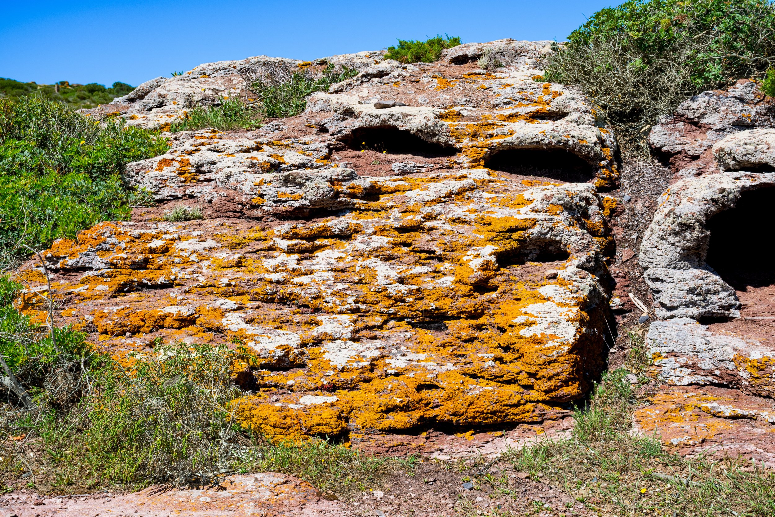 6to10-05-2025 CARLOFORTE ISLAND SARDINIA (193).jpg