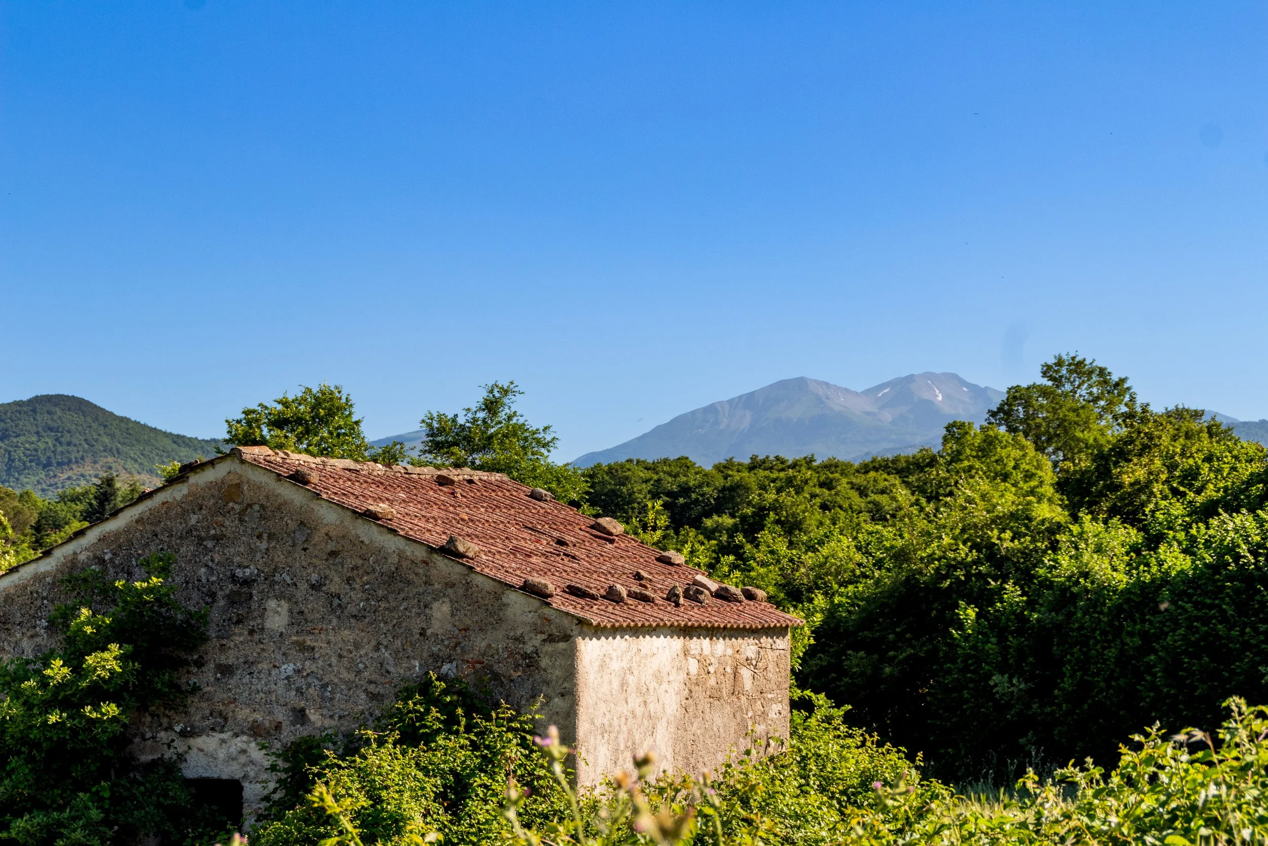 1-6-2022  GRUMENTUM MAMMA (13).jpg