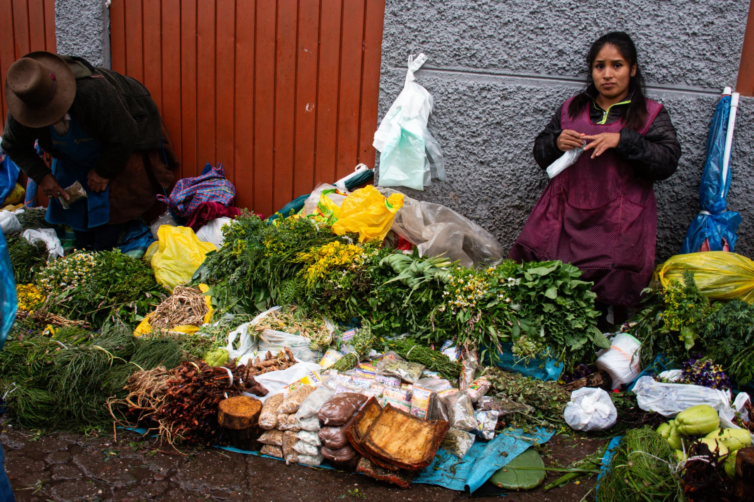 DSC_0713.jpg