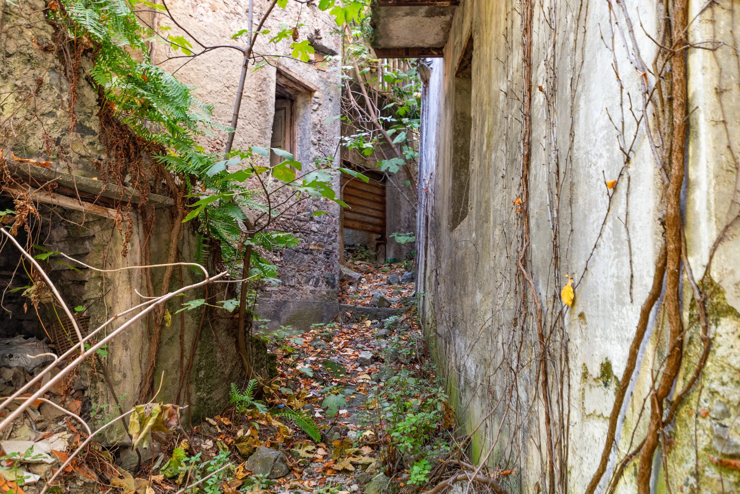 DSC_5353.jpg