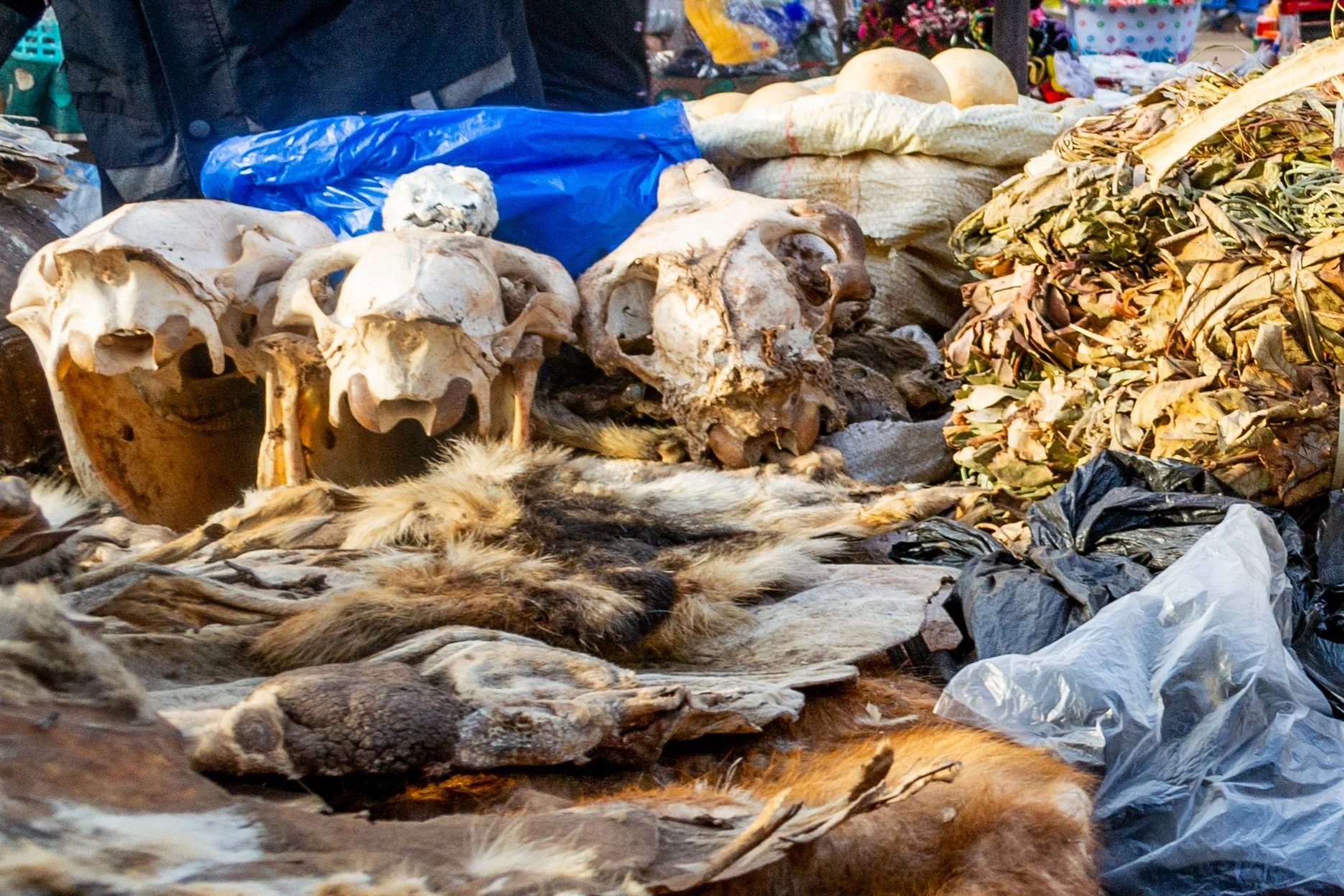 03_05-01-2014 BAMAKO (39)-2.jpg