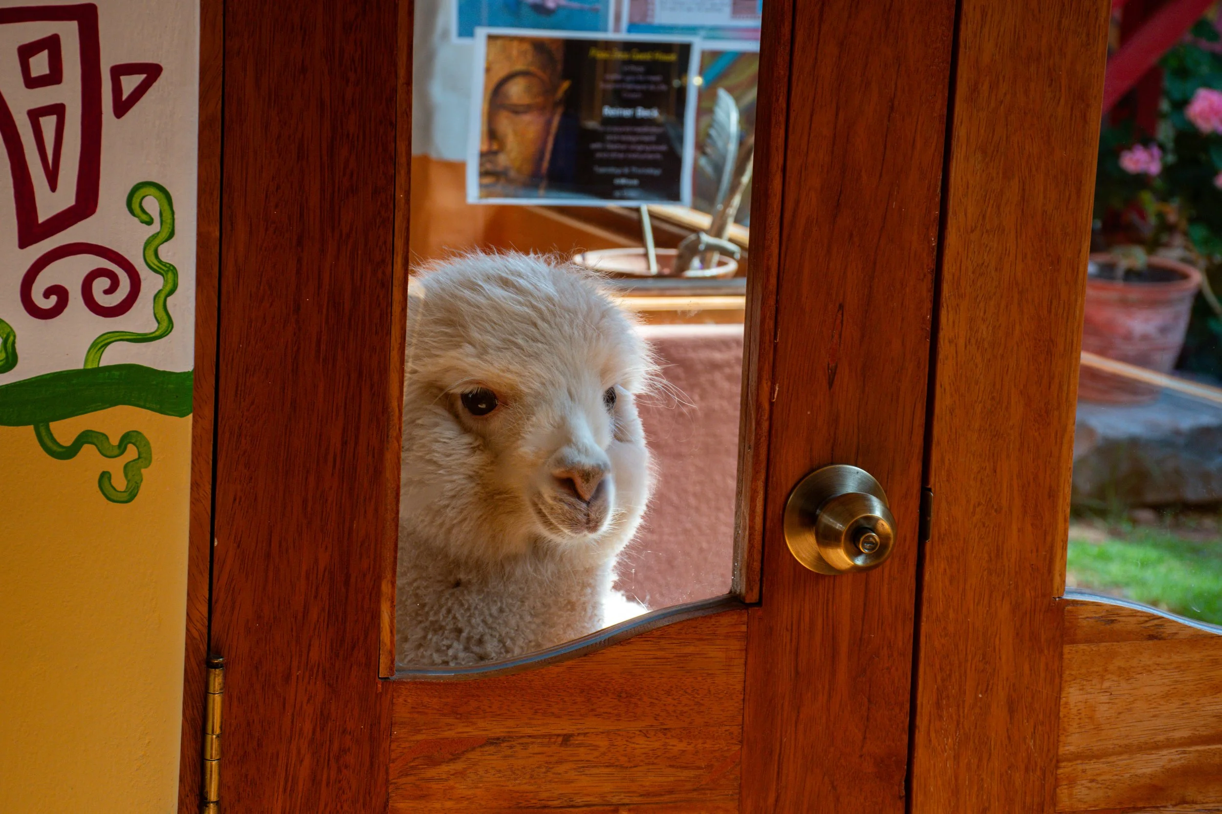 DSC_0760.jpg