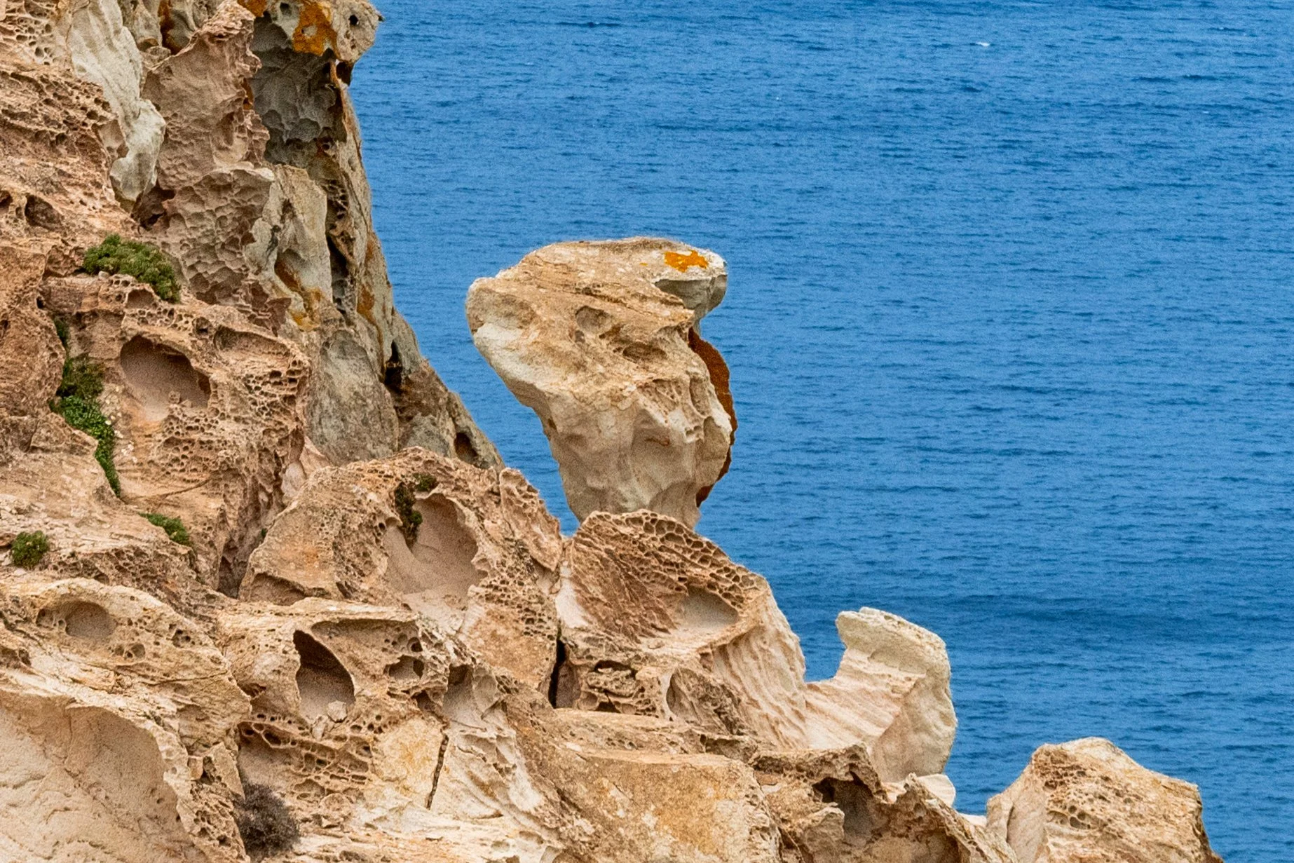 6to10-05-2025 CARLOFORTE ISLAND SARDINIA (552).jpg