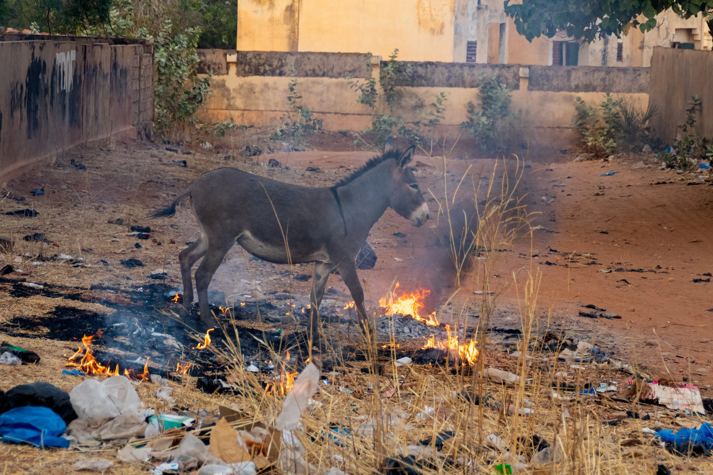 26-01-2022 KAYES STREET (40).jpg