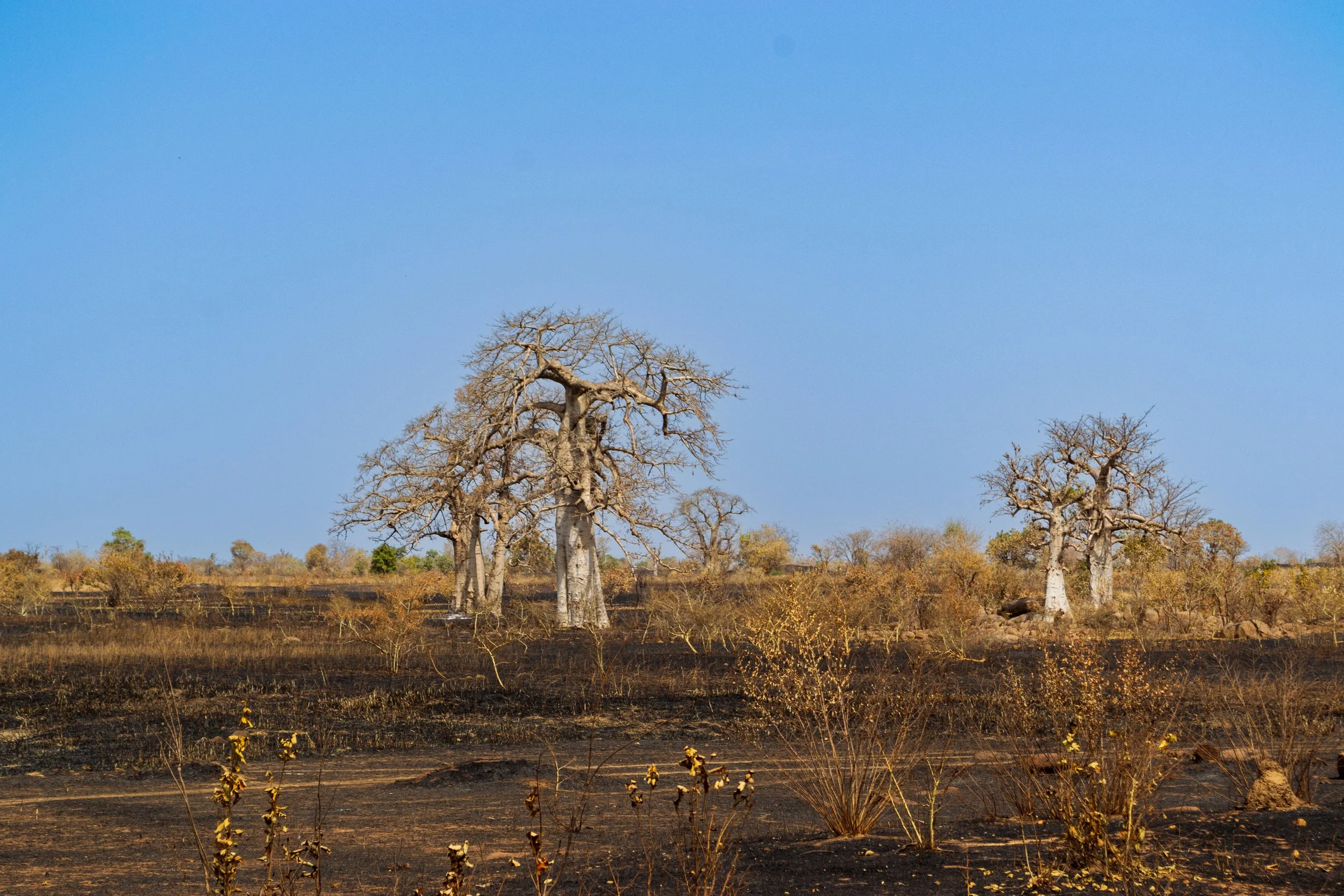 10-01-2014 KAYES BAMAKO VIAGGIO RITORNO (127).jpg