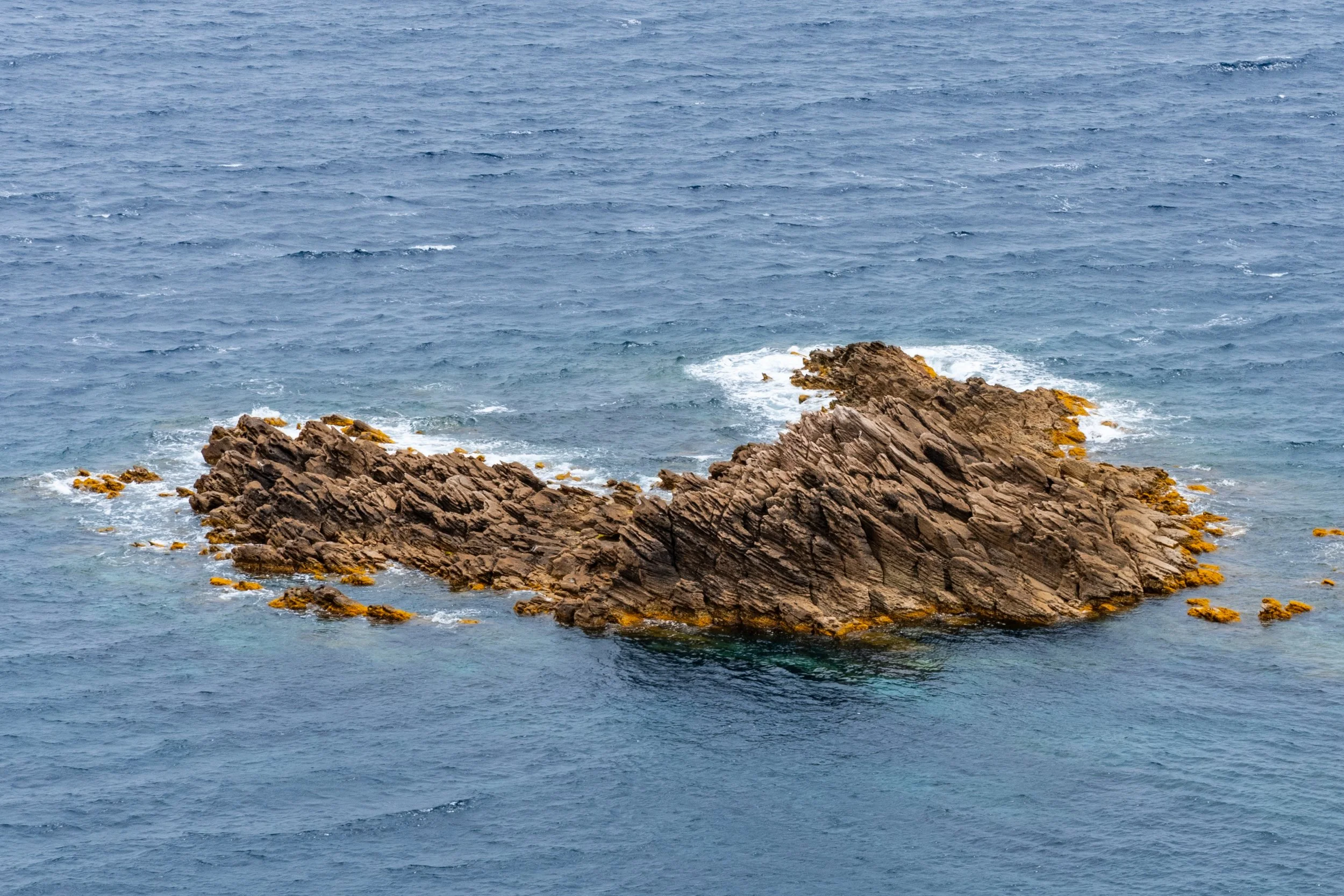 6to10-05-2025 CARLOFORTE ISLAND SARDINIA (477).jpg