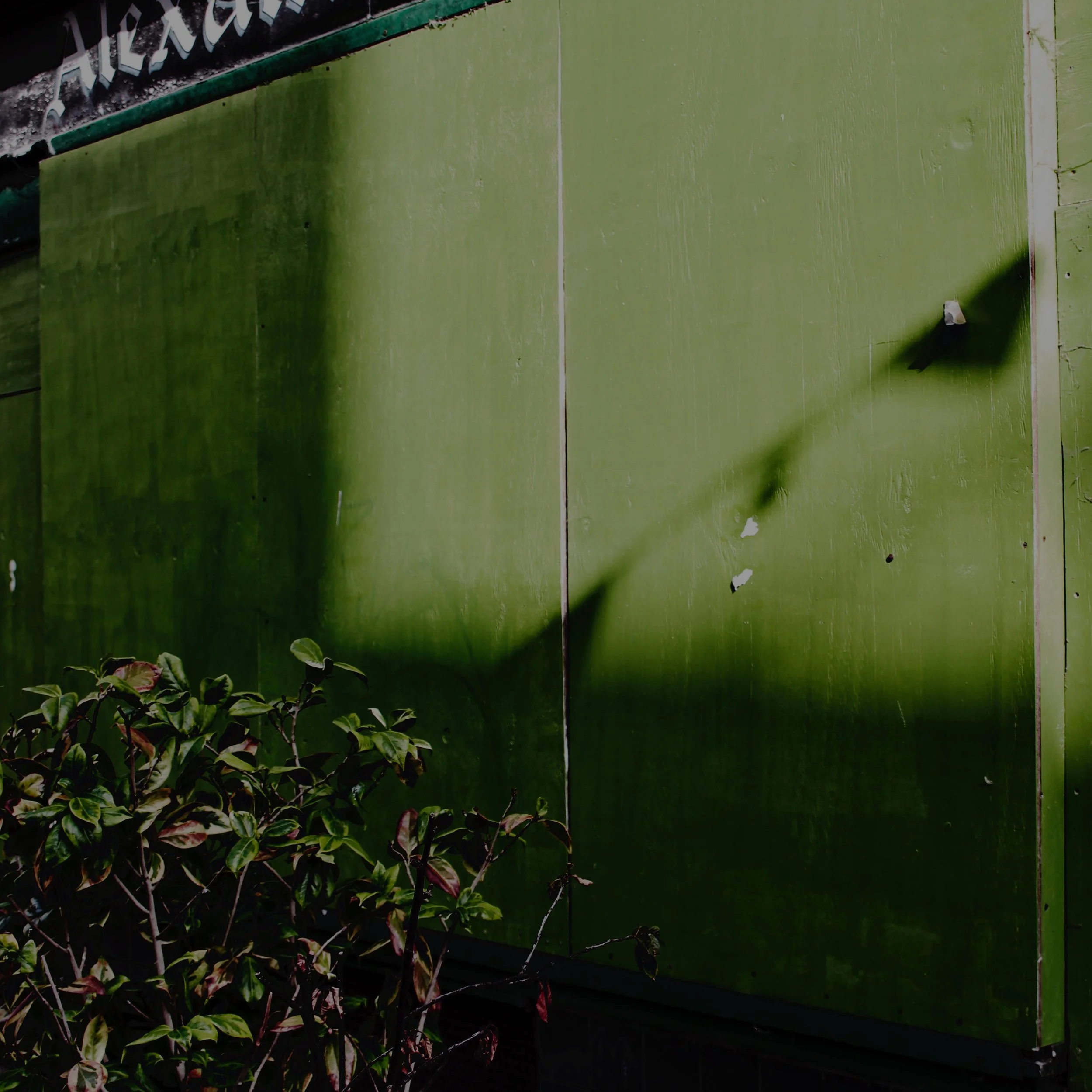 Green shop shutters in Hastings with shadows, plants and bunting