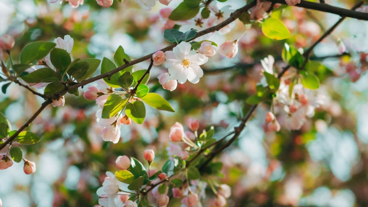 What Is Qi Gong — And Why Every Londoner Burned Out on High-Intensity Wellness Should Try It