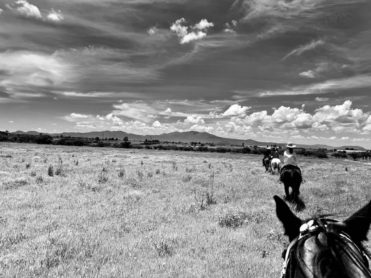 FIFA World Cup 2026 VIP Services