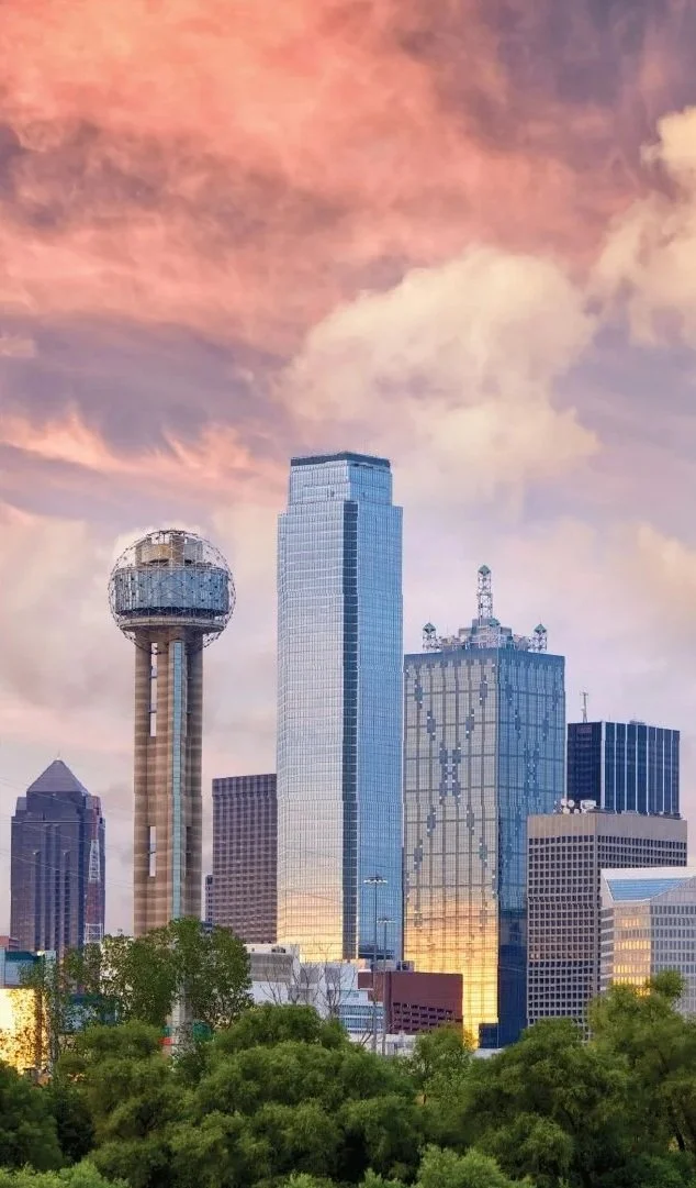 FIFA World Cup 2026 VIP Services