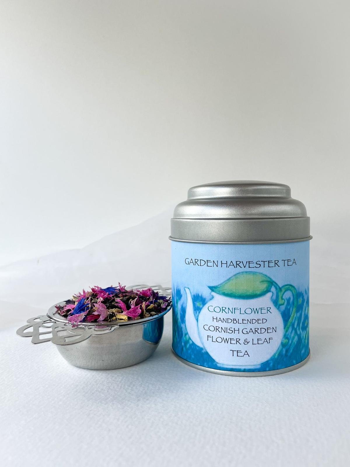 Cornflower