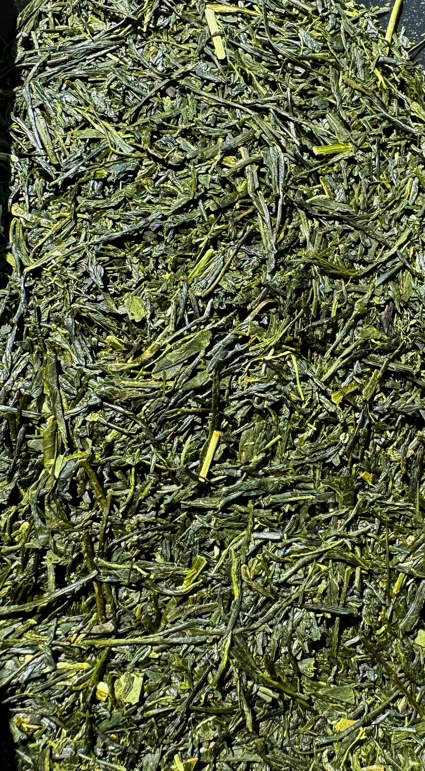 Organic Sencha Yabukita