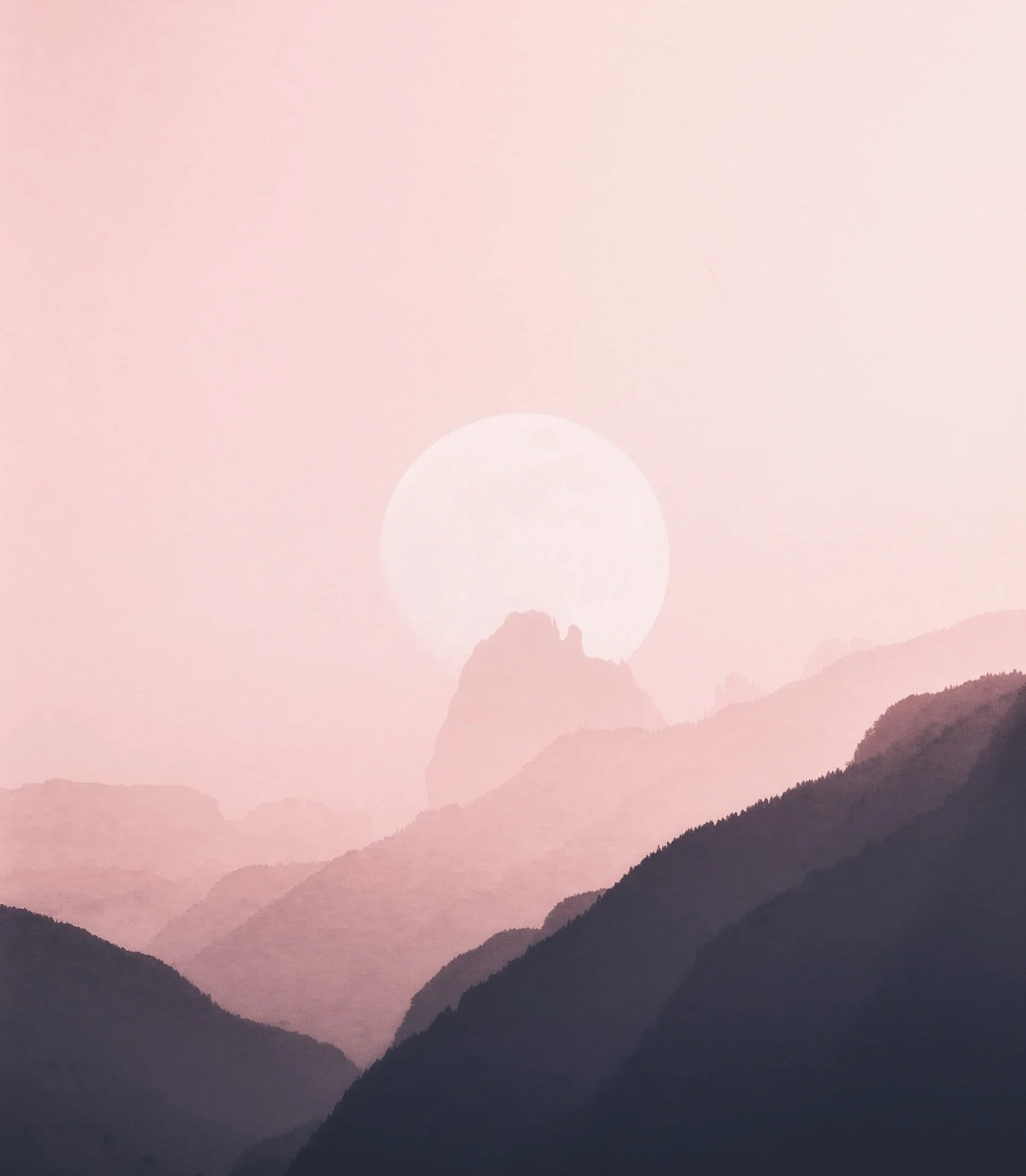 image-asset.jpg