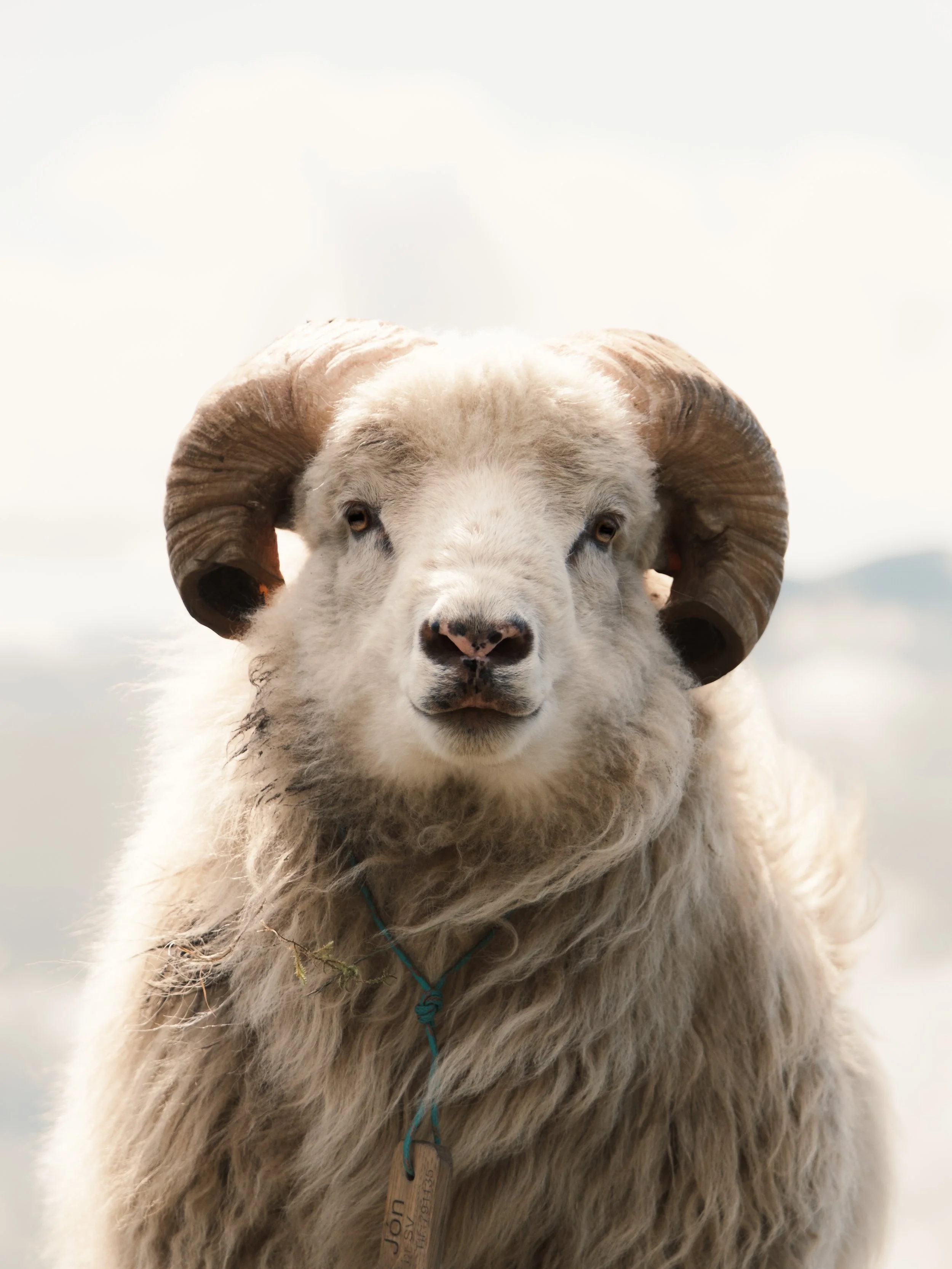 Norðradalsskarð, Faore Islands