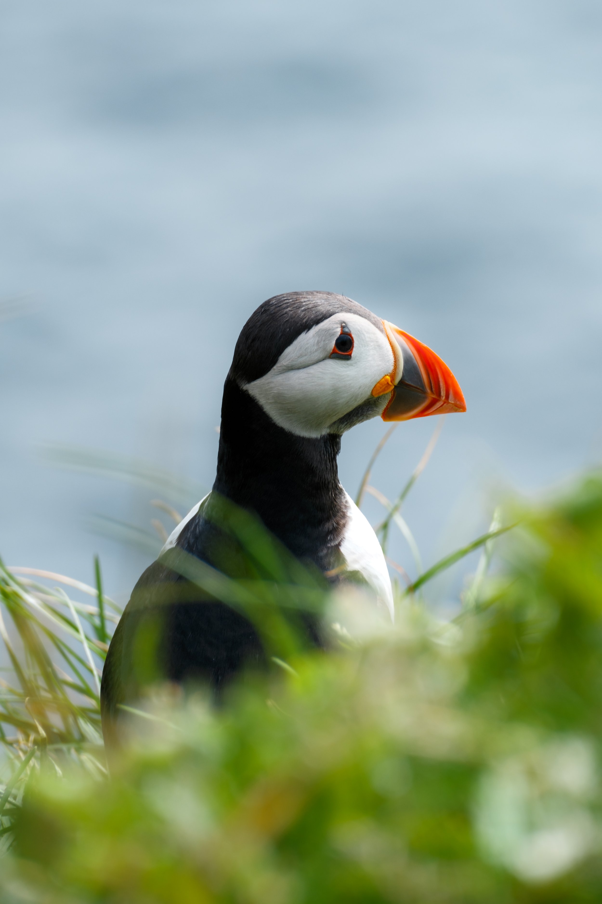 Gásadalur, Faroe Islands