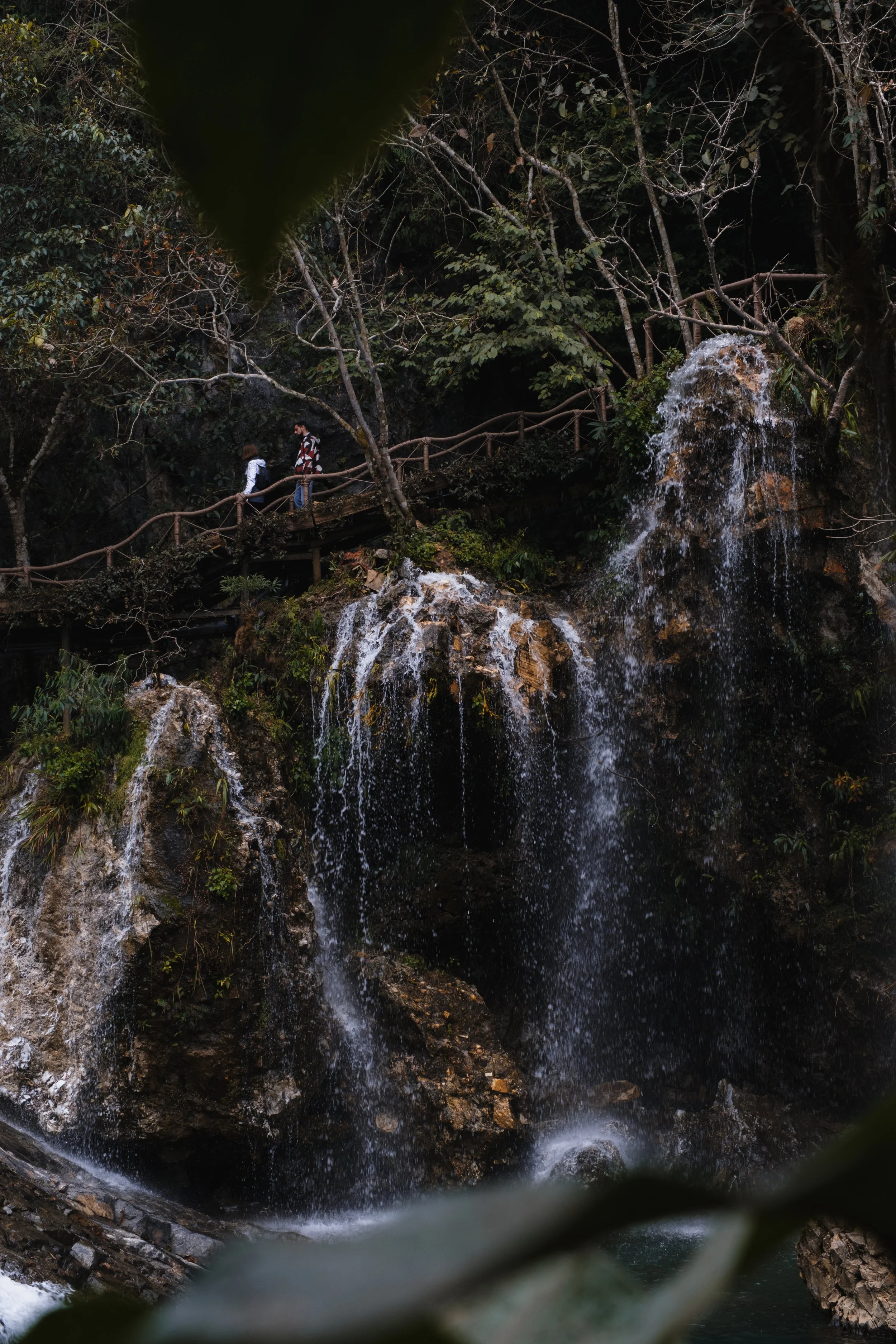 DSCF5668.jpg