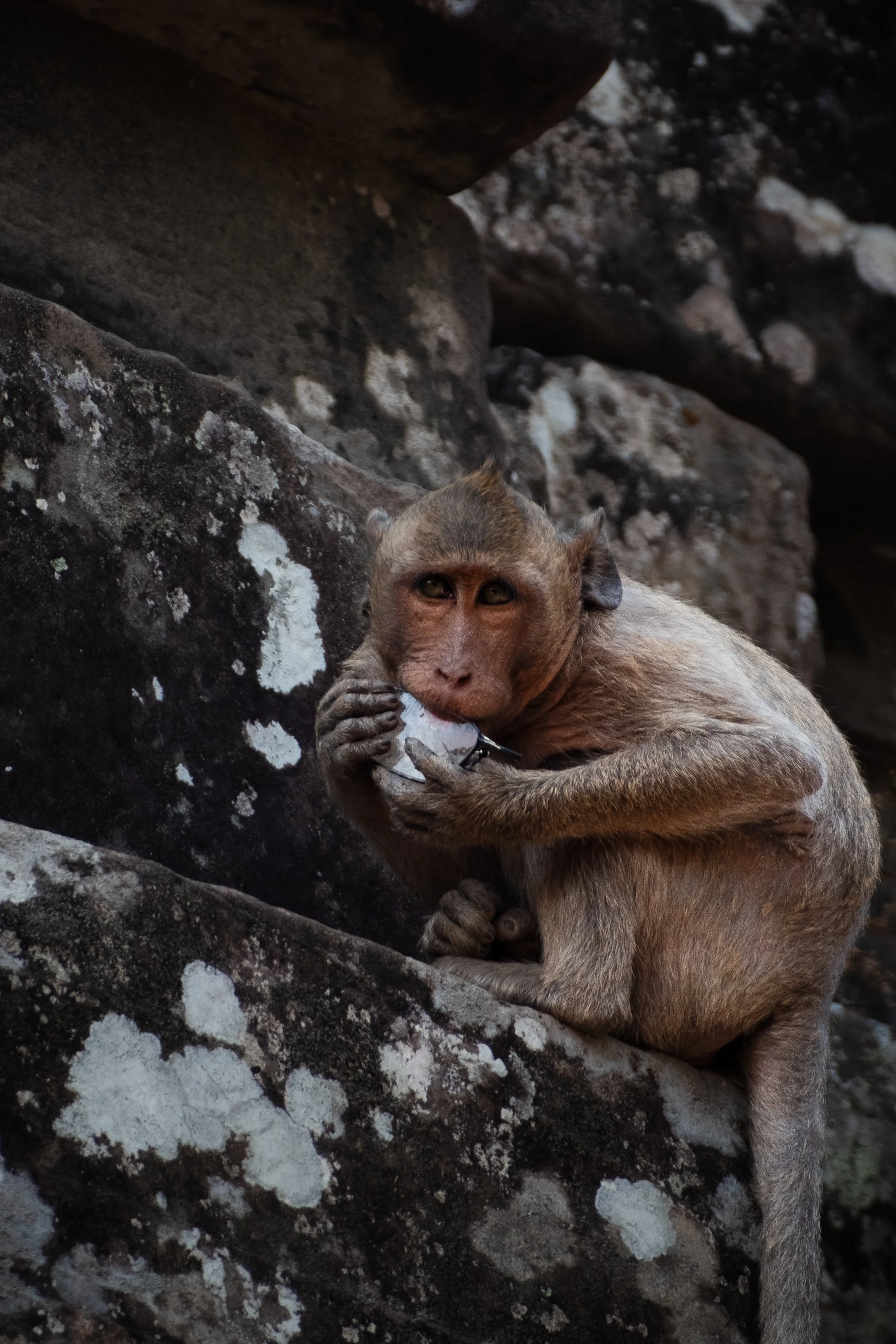 Angkor Thom, Cambodia