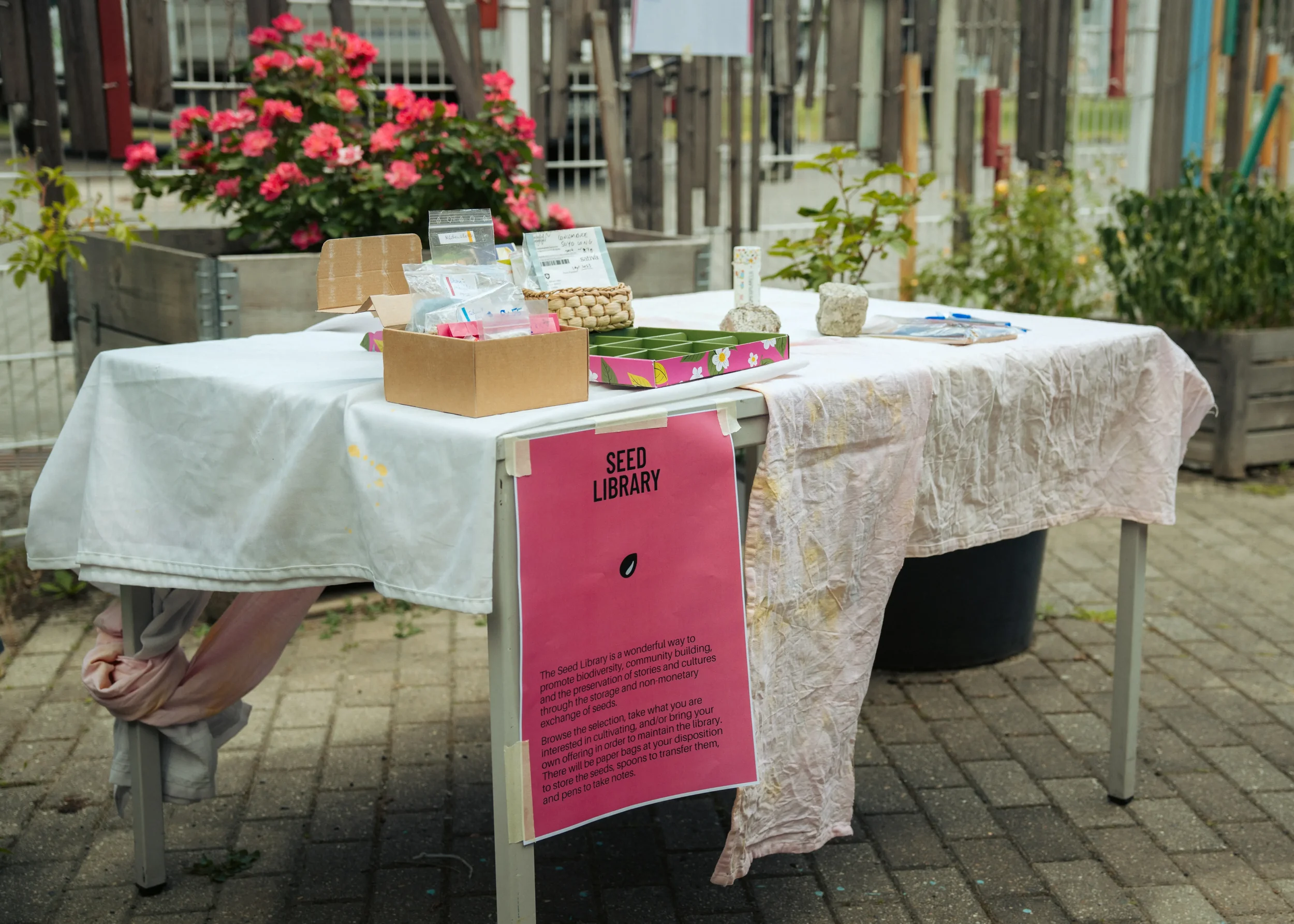 Seeding Freedom Festival 2026 © Evelyn Batchonkova / Reclaim - Ecofeminist Alliance e.V. (@evelyn.bato)