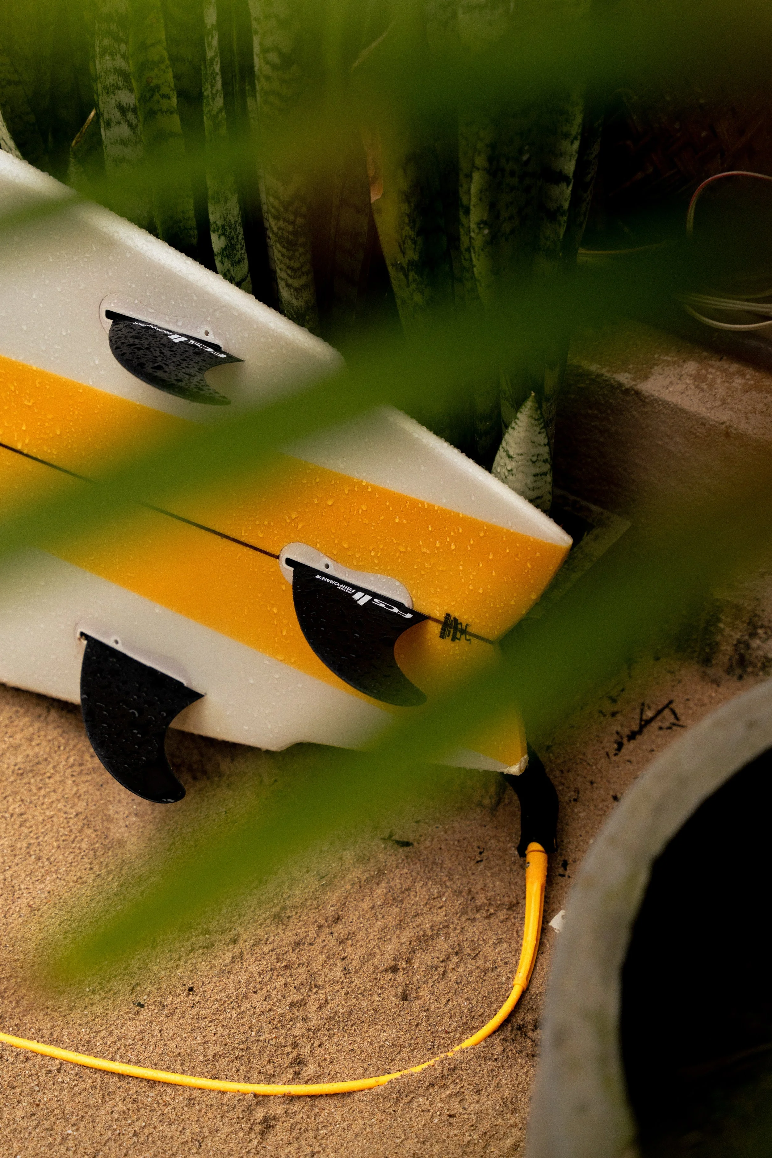 Surfboard mit schwarzen Finnen, liegend auf dem Sand, im Hintergrund grüne Pflanzen, im Vordergrund ungeordnete grüne Blätter.