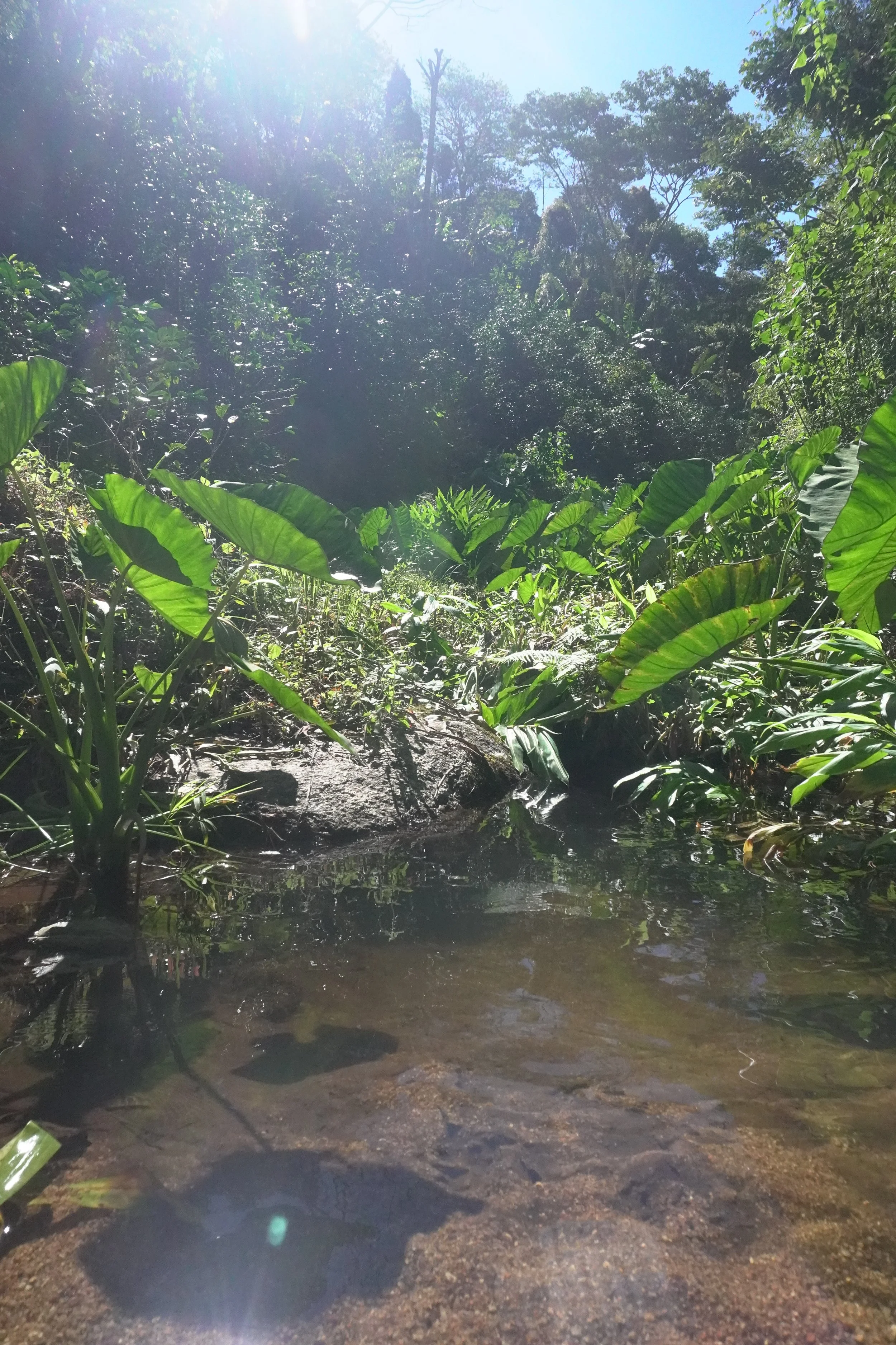 tres hermanas pond.JPG