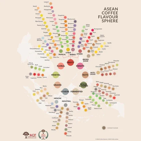 ASEANFlavourWheel_460x.webp