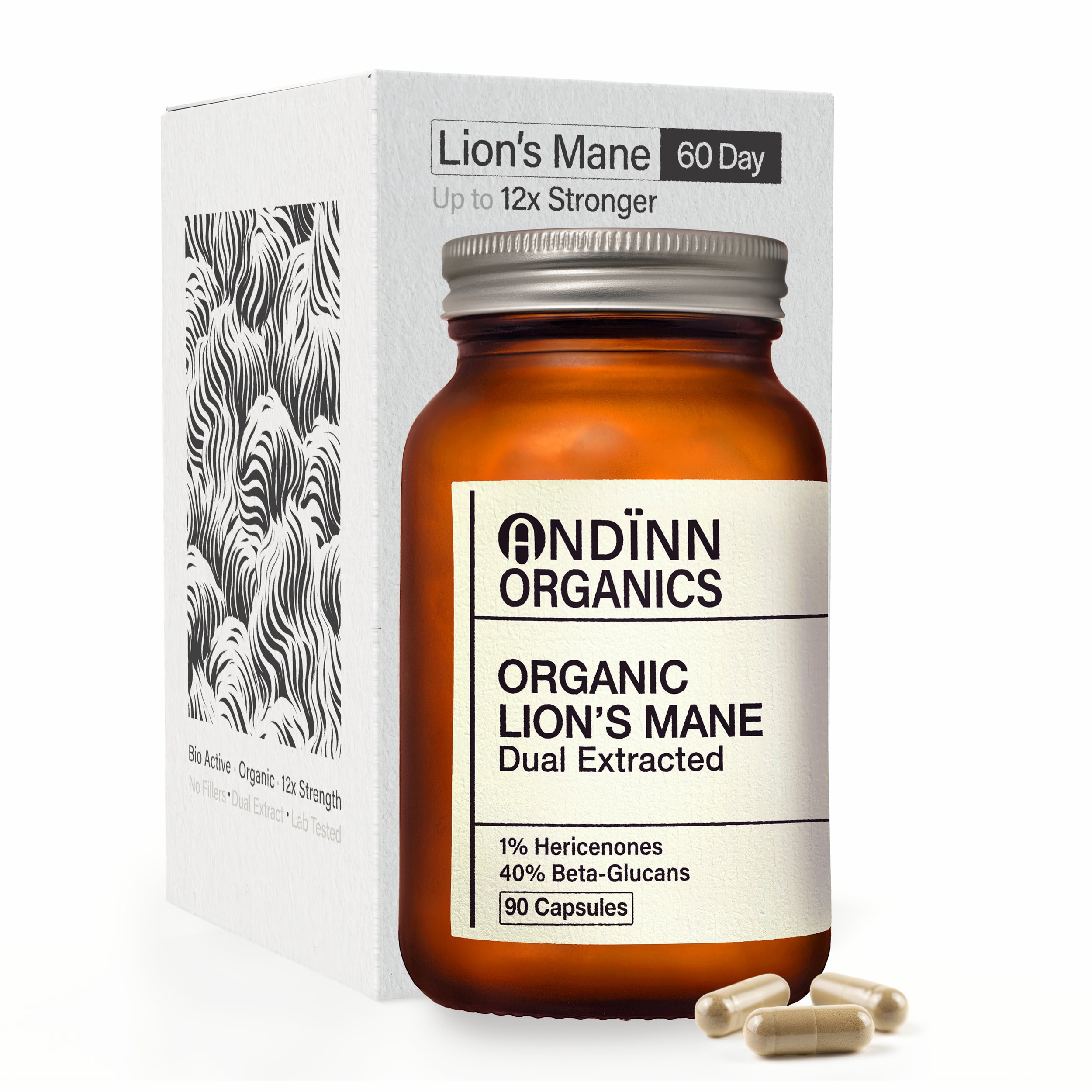 Lion's Mane Main Picture 90 Capsules copy.jpg