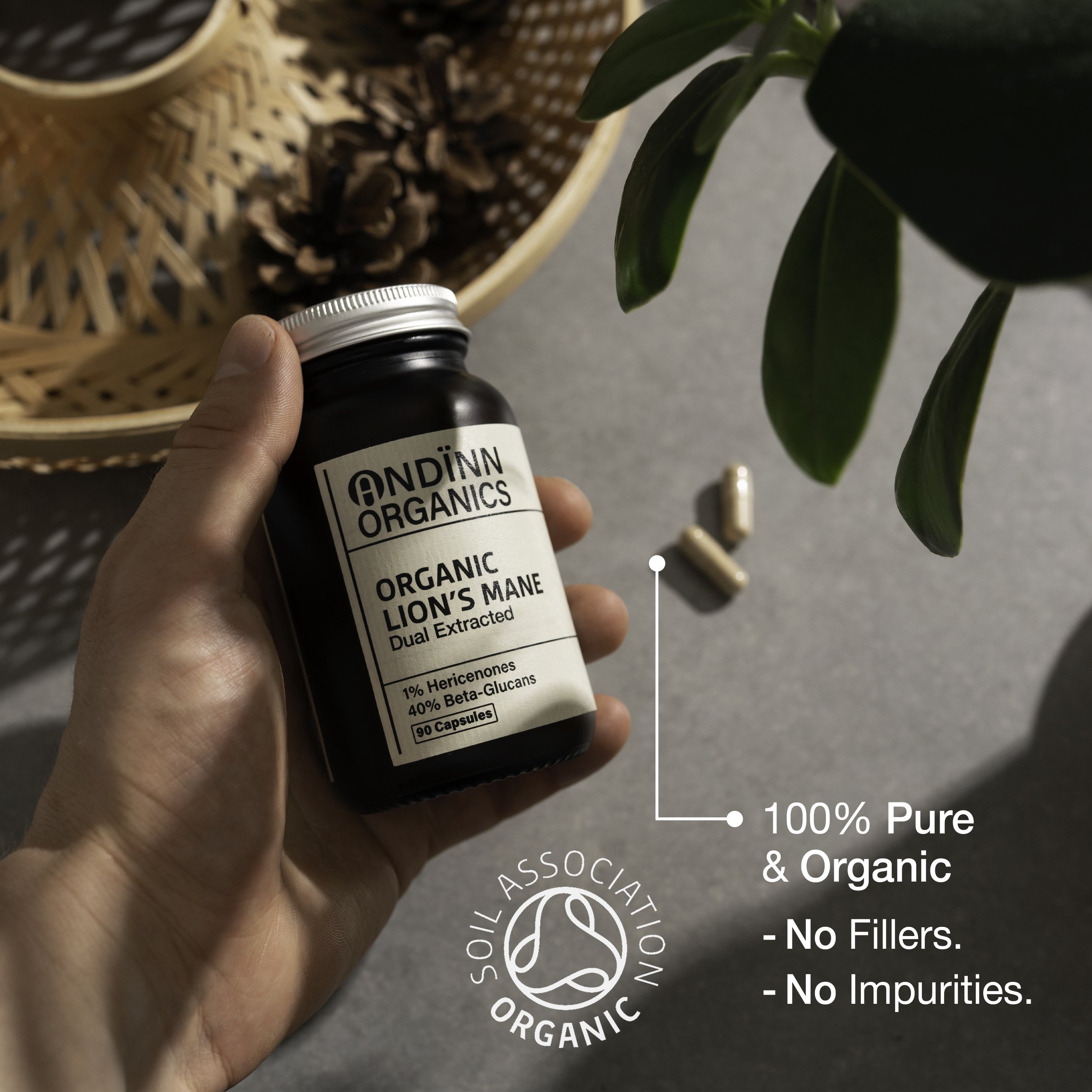 v2 Holding Lion's Mane Capsules A+ Content Banner copy.jpg