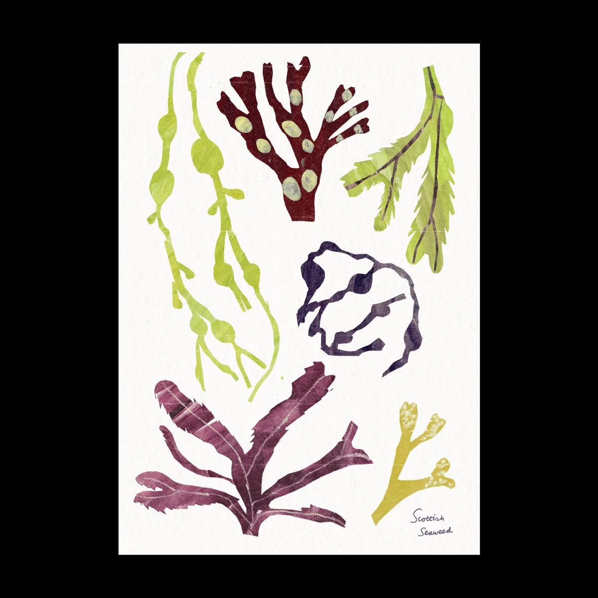SeaweedPrintFlat.jpg