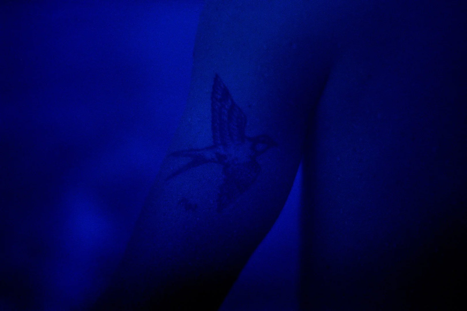 le tatouage, film monochrome bleu