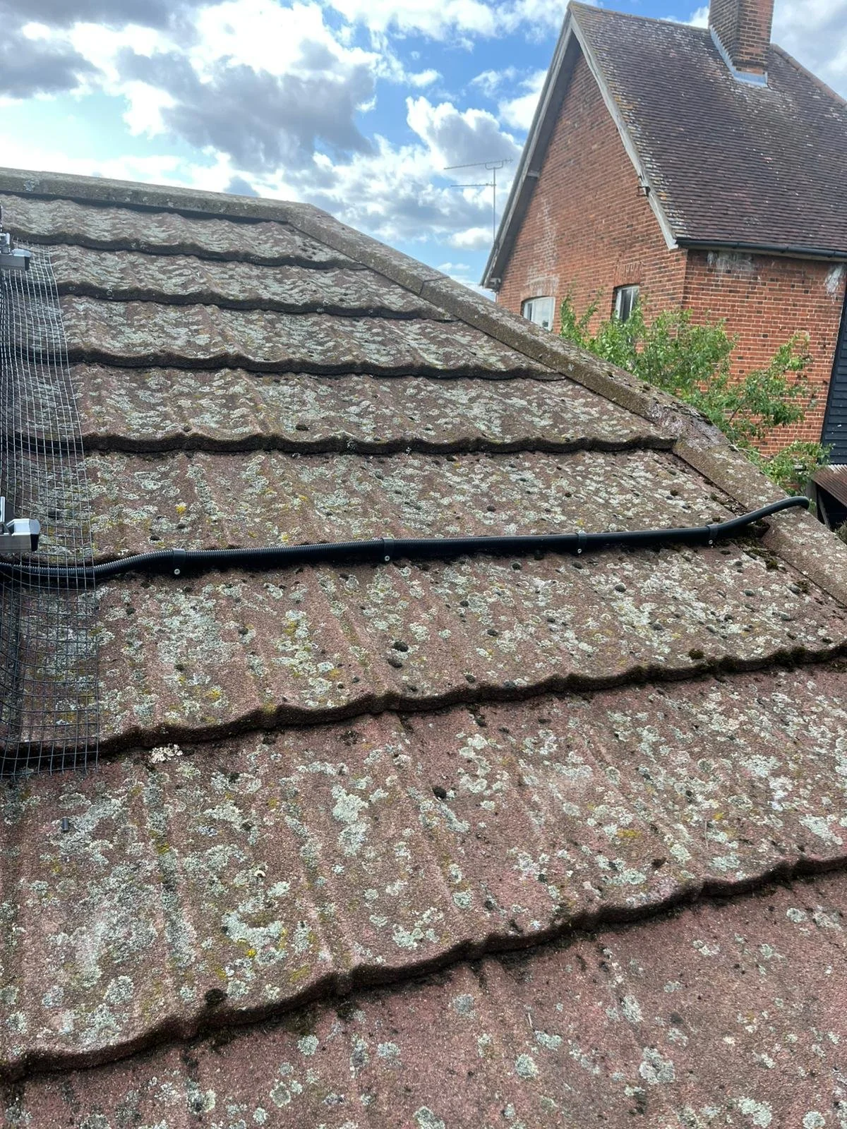 WhatsApp Image 2025-08-05 at 16.31.16 (1).jpeg