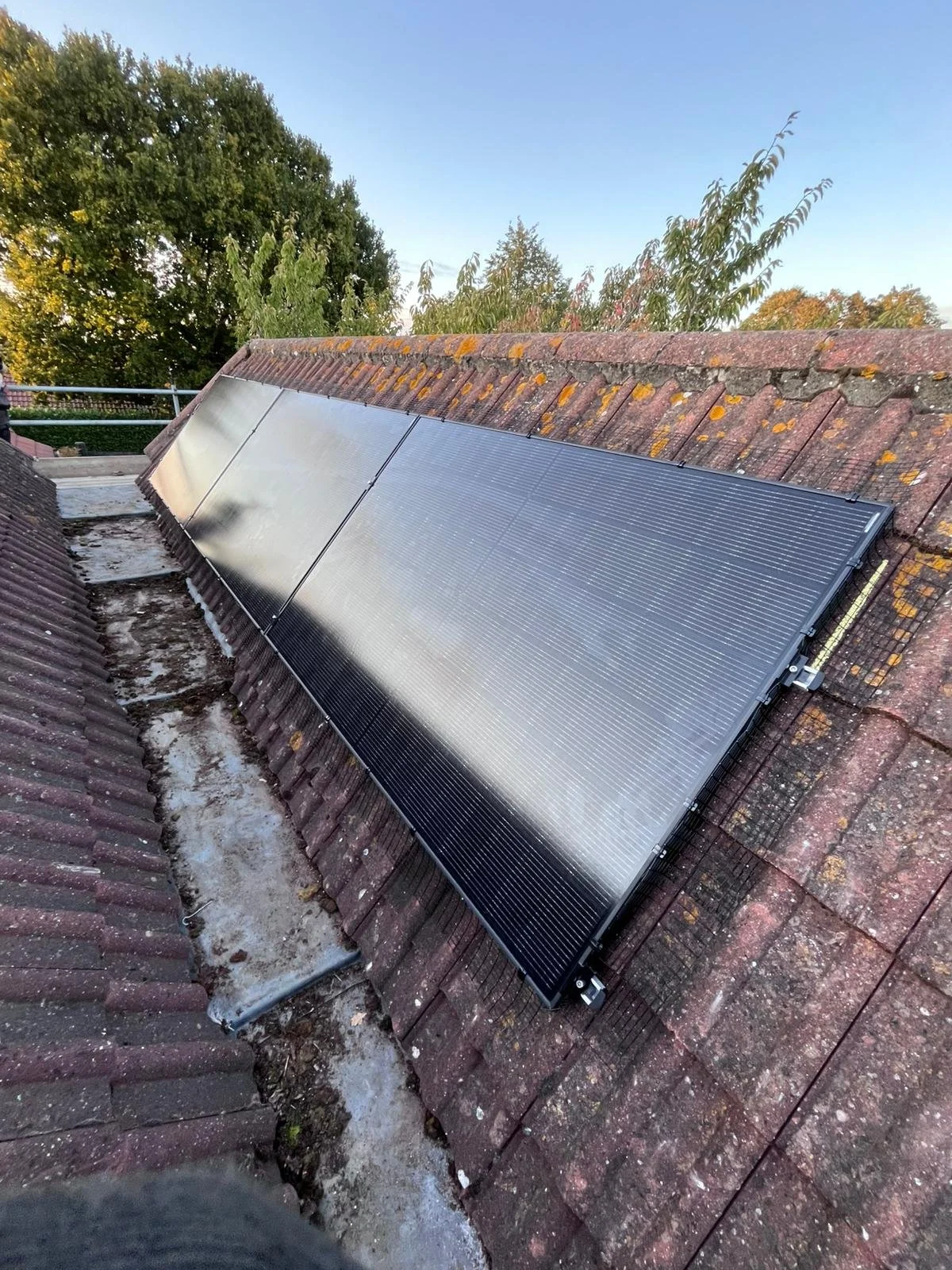 WhatsApp Image 2025-09-23 at 18.38.40.jpeg