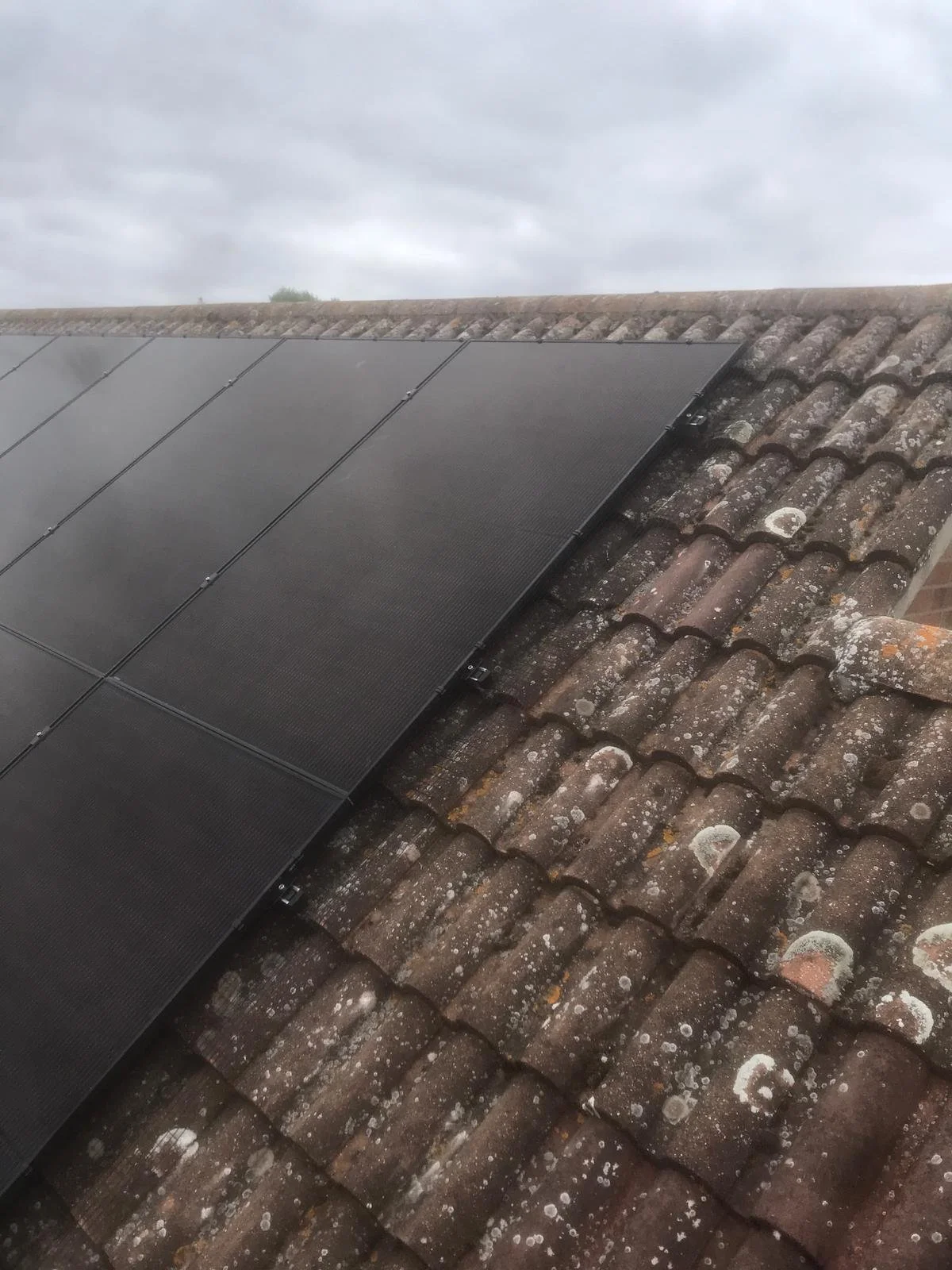 WhatsApp Image 2025-05-15 at 15.10.02.jpeg