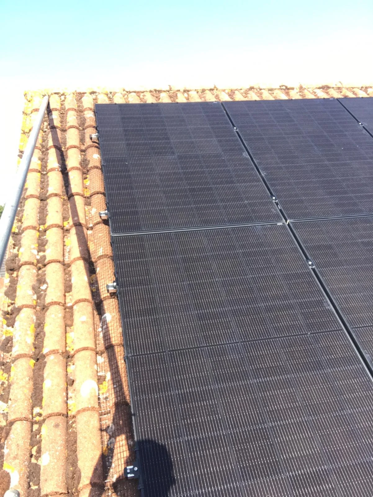 WhatsApp Image 2025-07-10 at 17.24.12.jpeg