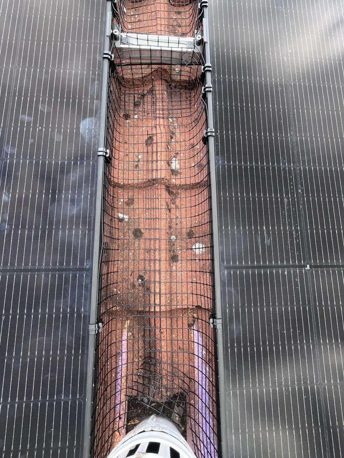 WhatsApp Image 2025-09-04 at 15.31.36 (3).jpeg