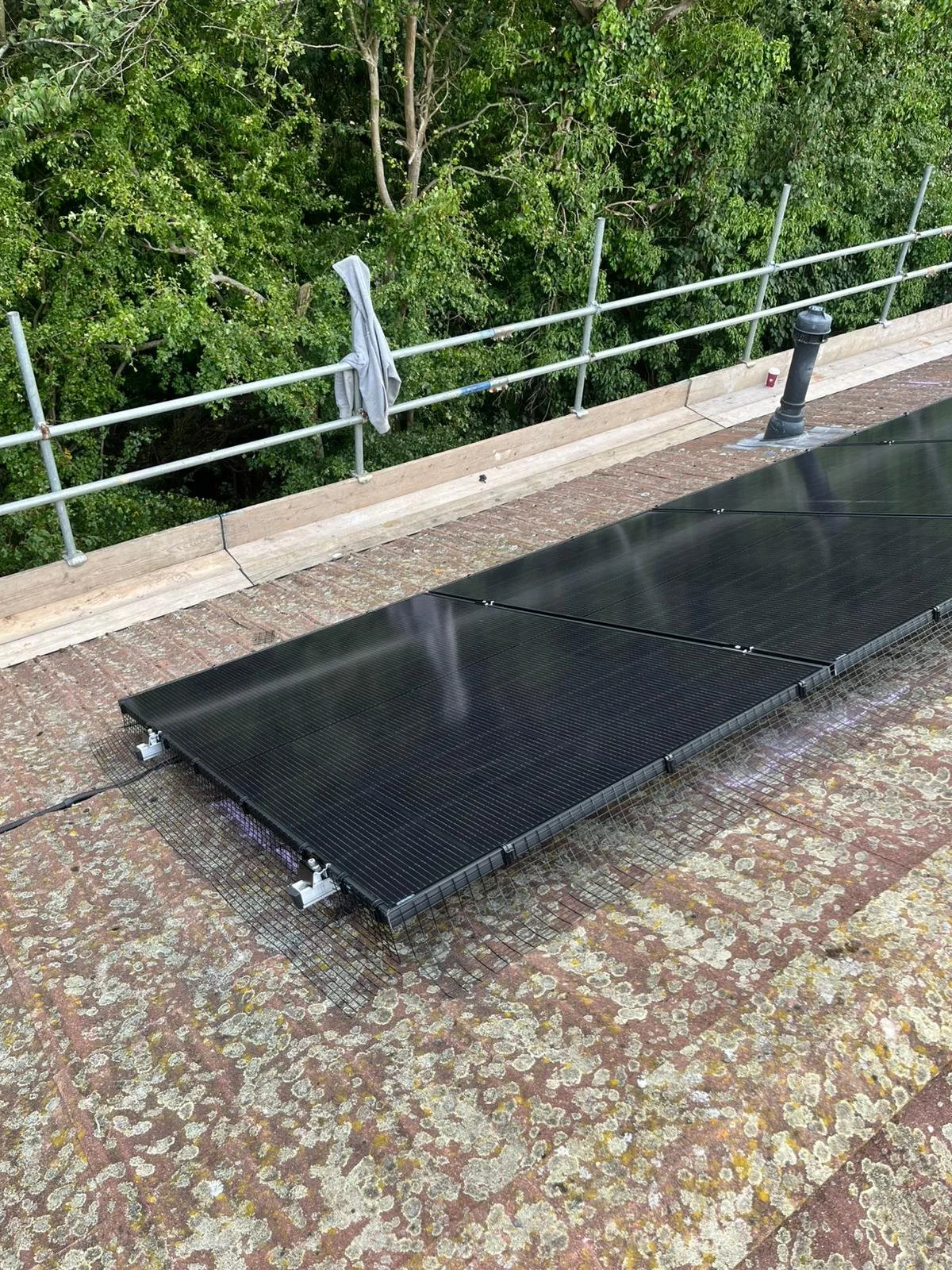 WhatsApp Image 2025-08-05 at 16.31.15 (1).jpeg