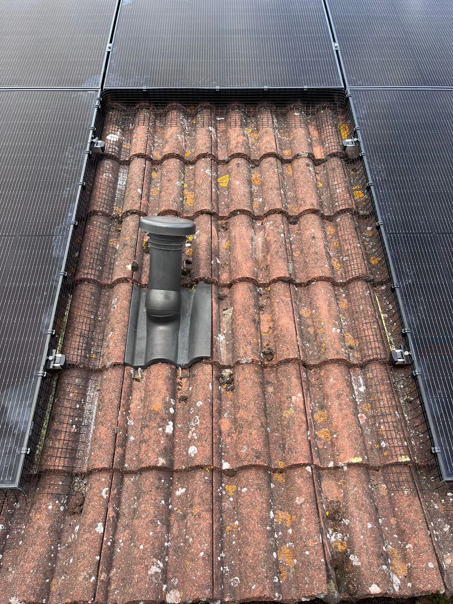 WhatsApp Image 2025-09-11 at 17.14.14 (4).jpeg