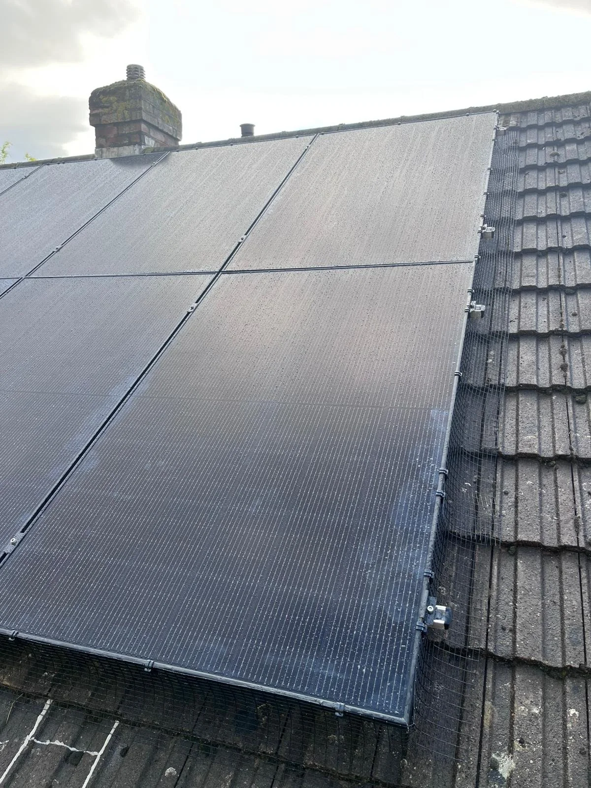 WhatsApp Image 2025-09-03 at 19.06.20.jpeg